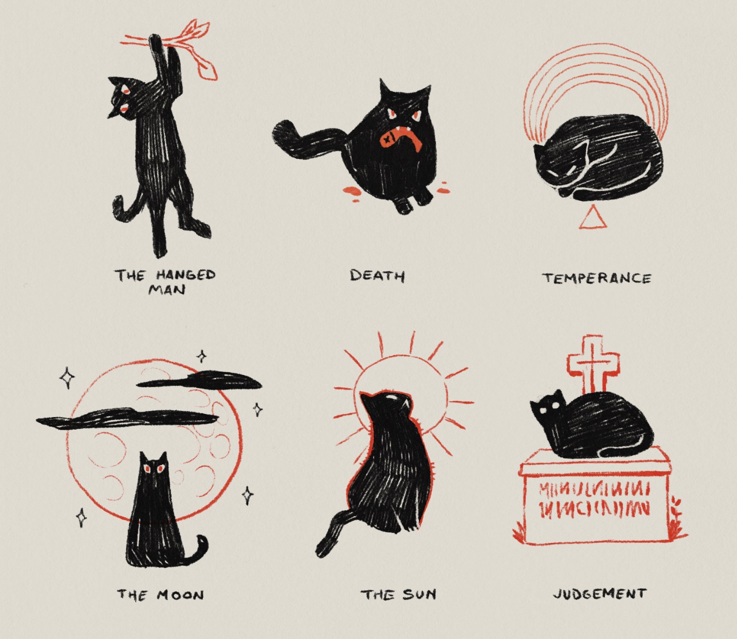 The Purrfect Companions: A Celebration of Cats