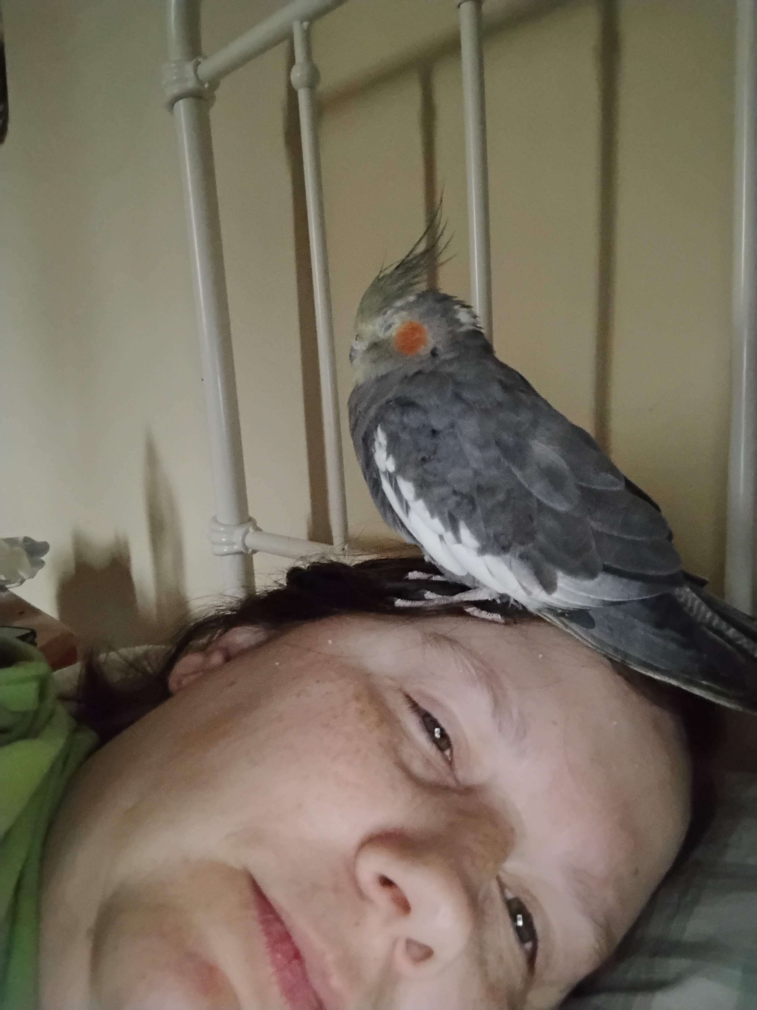 Meet Stimky Burb, the quirky character you didn't know you needed!