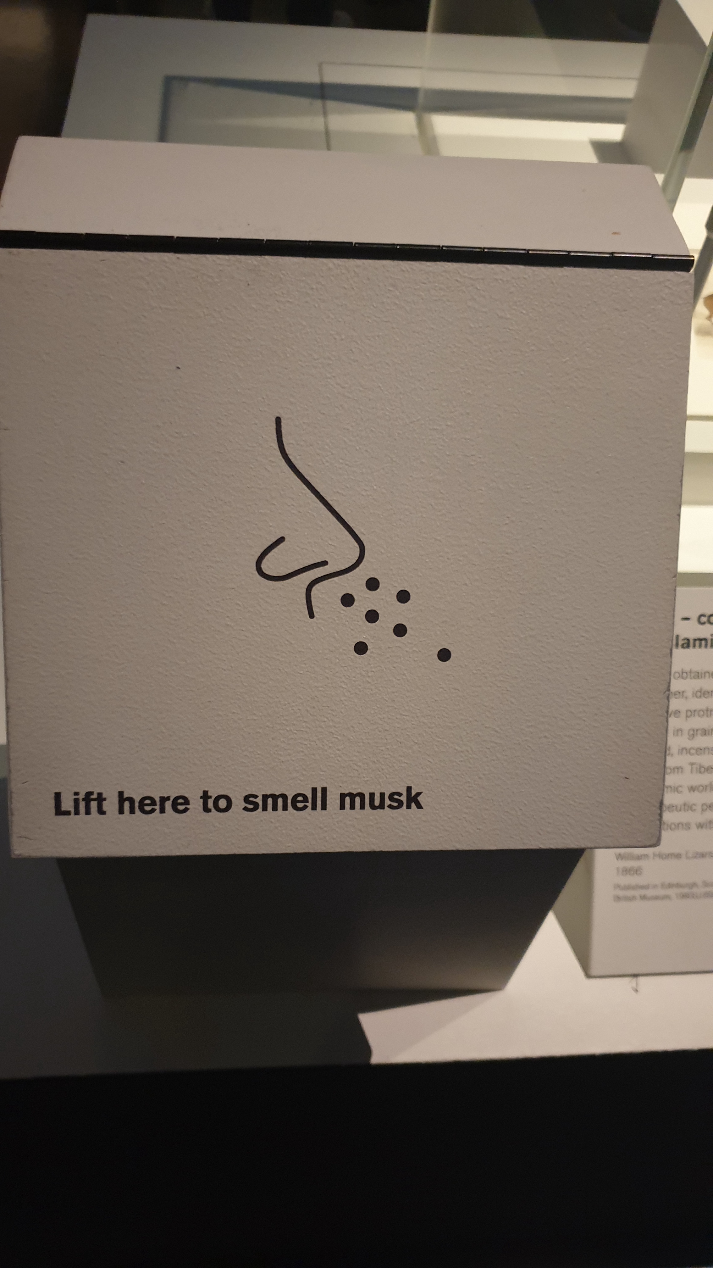 Nope, I Think I'll Pass on That...