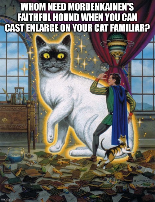 Wizposting: The Magical World of Meme Sharing