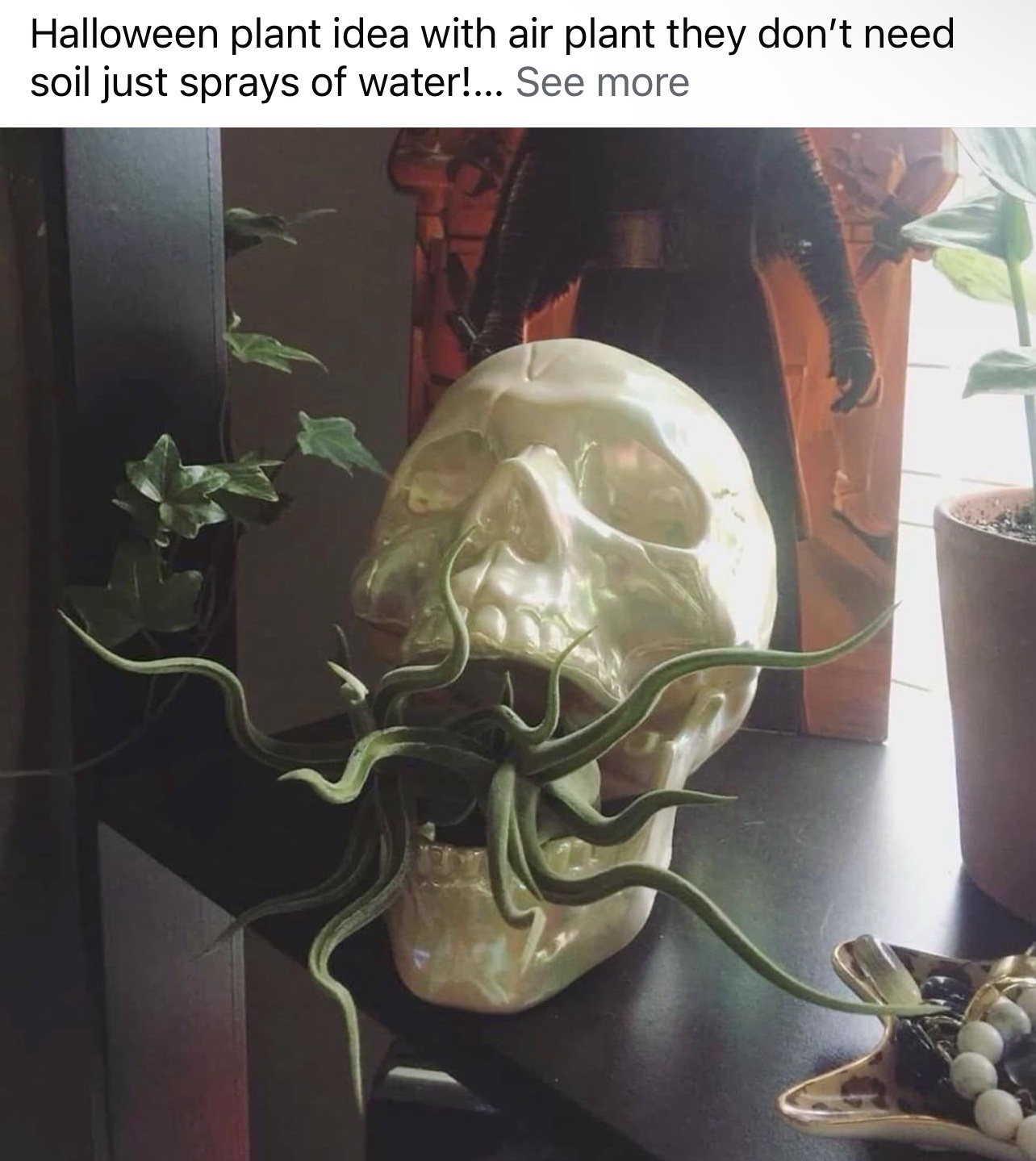 The Epic Collection of The Stolen IV