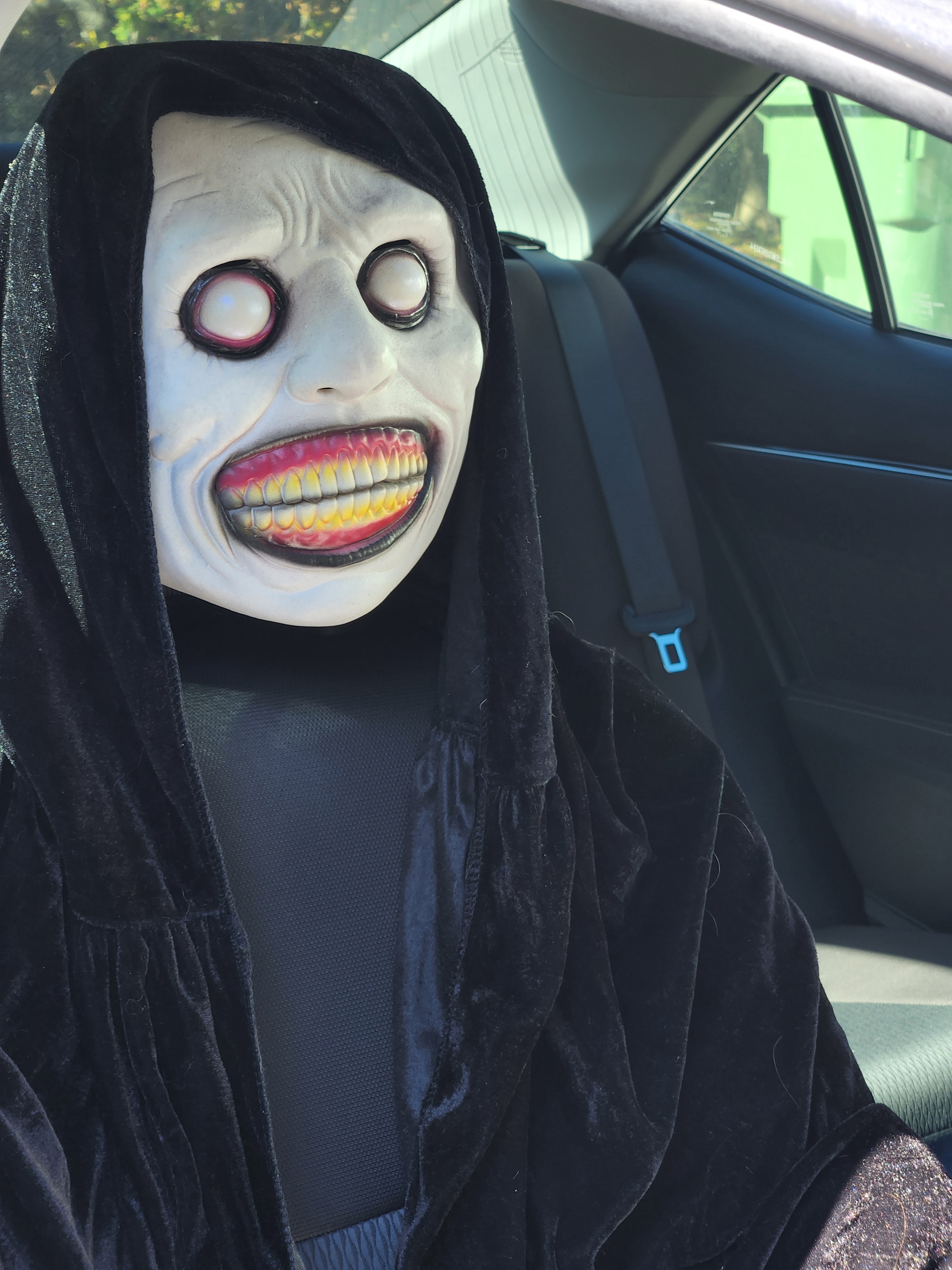The Ultimate Carpool Adventure