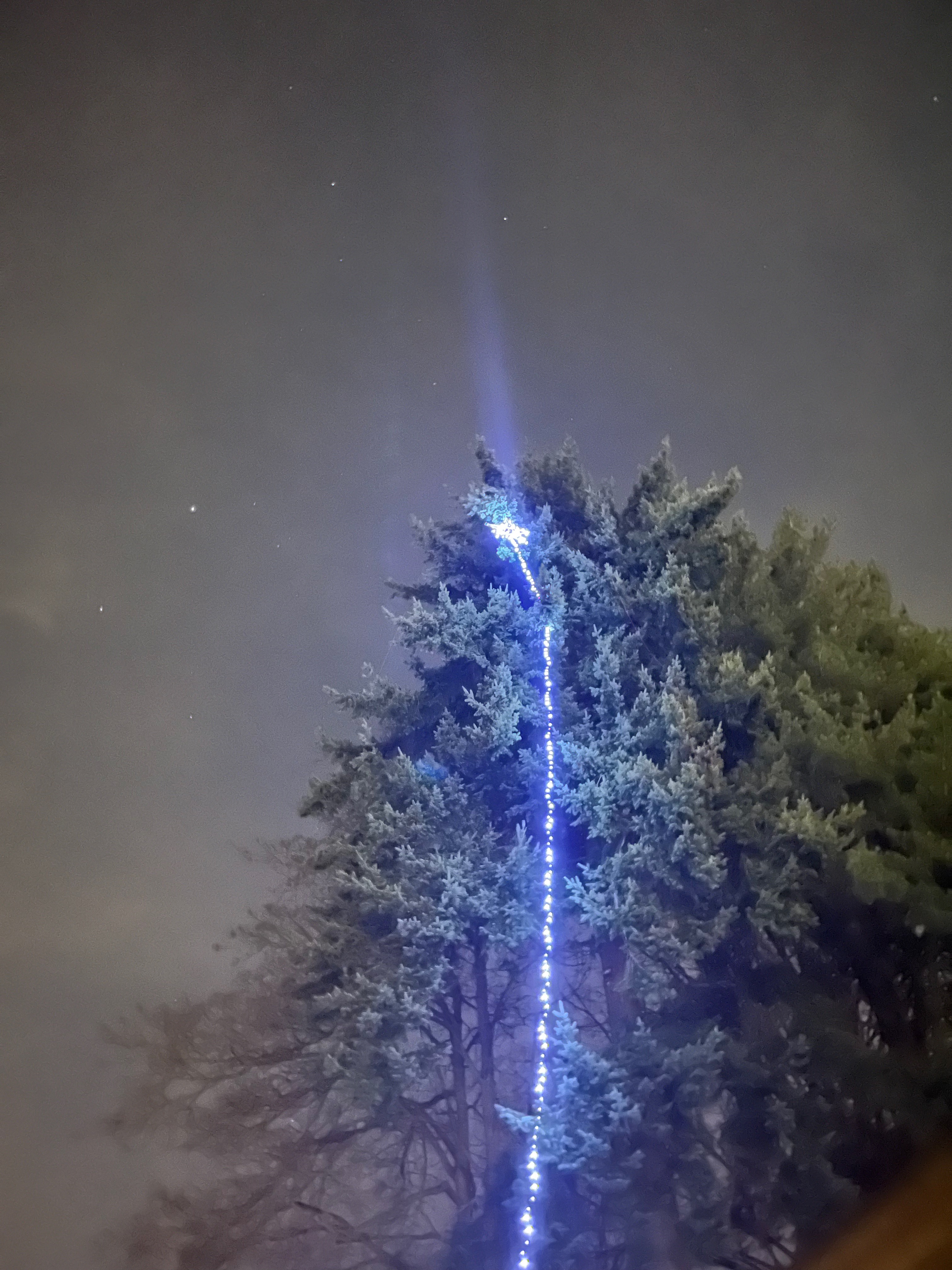 Need Ideas for Lifting a Star Up a 120-Foot Tree?