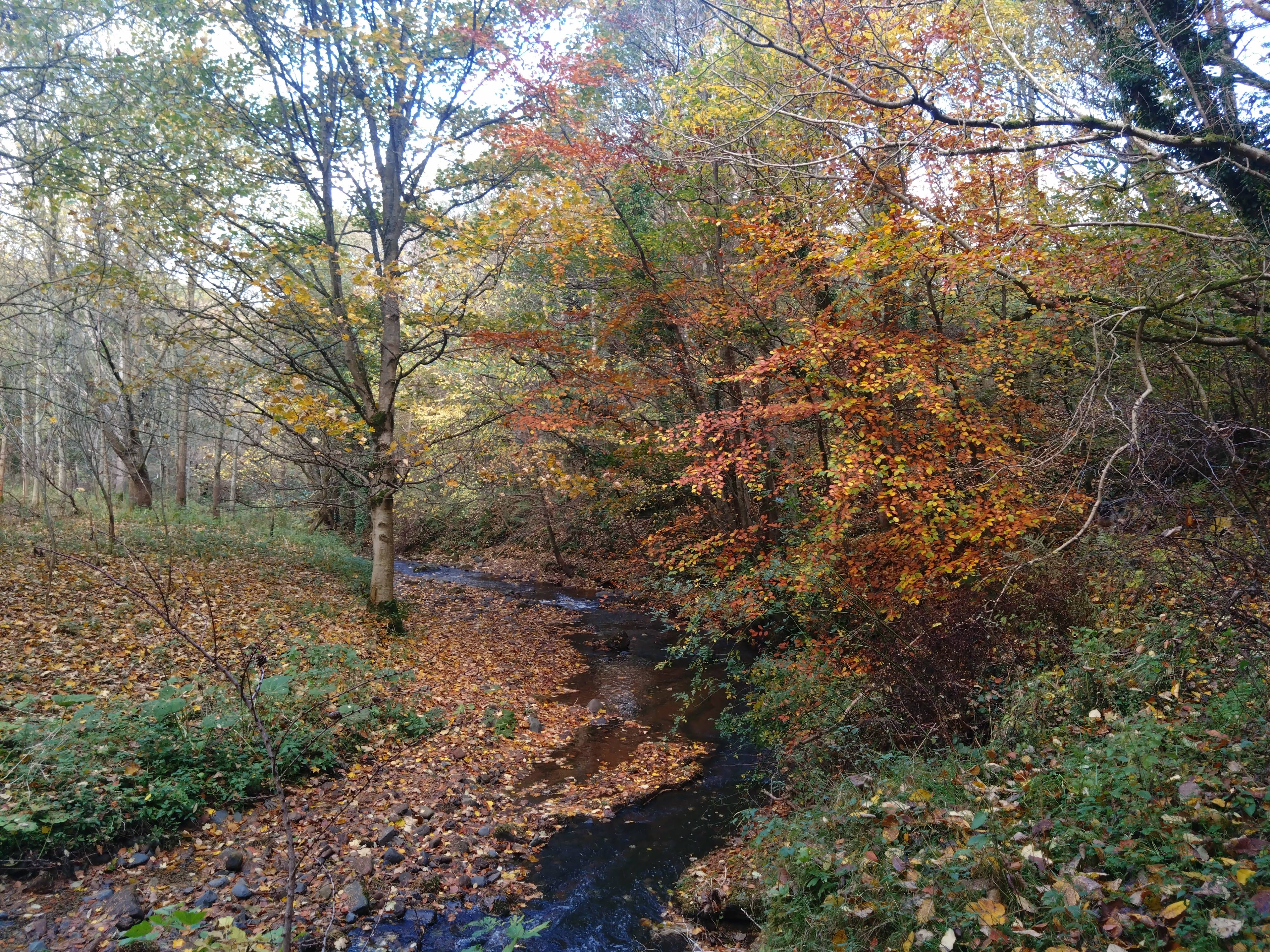 The Beauty of Autumn in Scotland