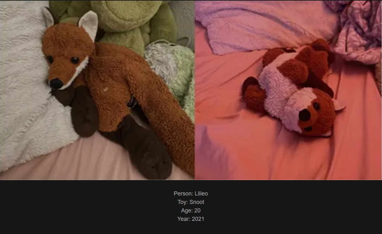 Day 788: Join me on my website www.saidtheskinhorse.com to celebrate our cherished childhood toys. Meet Snoot, our latest addition! Foxy and friends await!