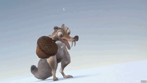 Come on, ACORNS! Let’s show them what we’ve got!