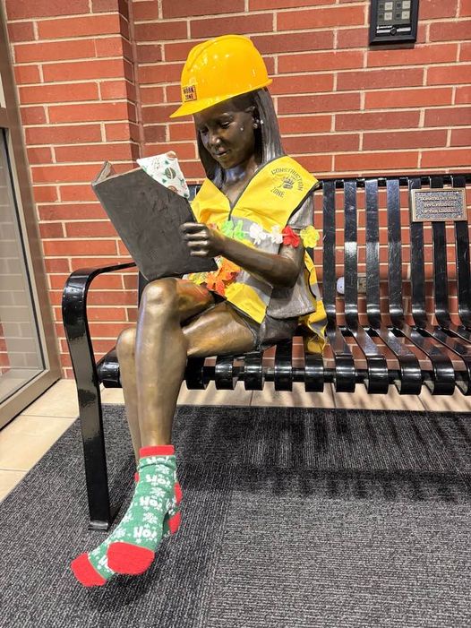 Exciting News: My Library is Getting a Makeover!