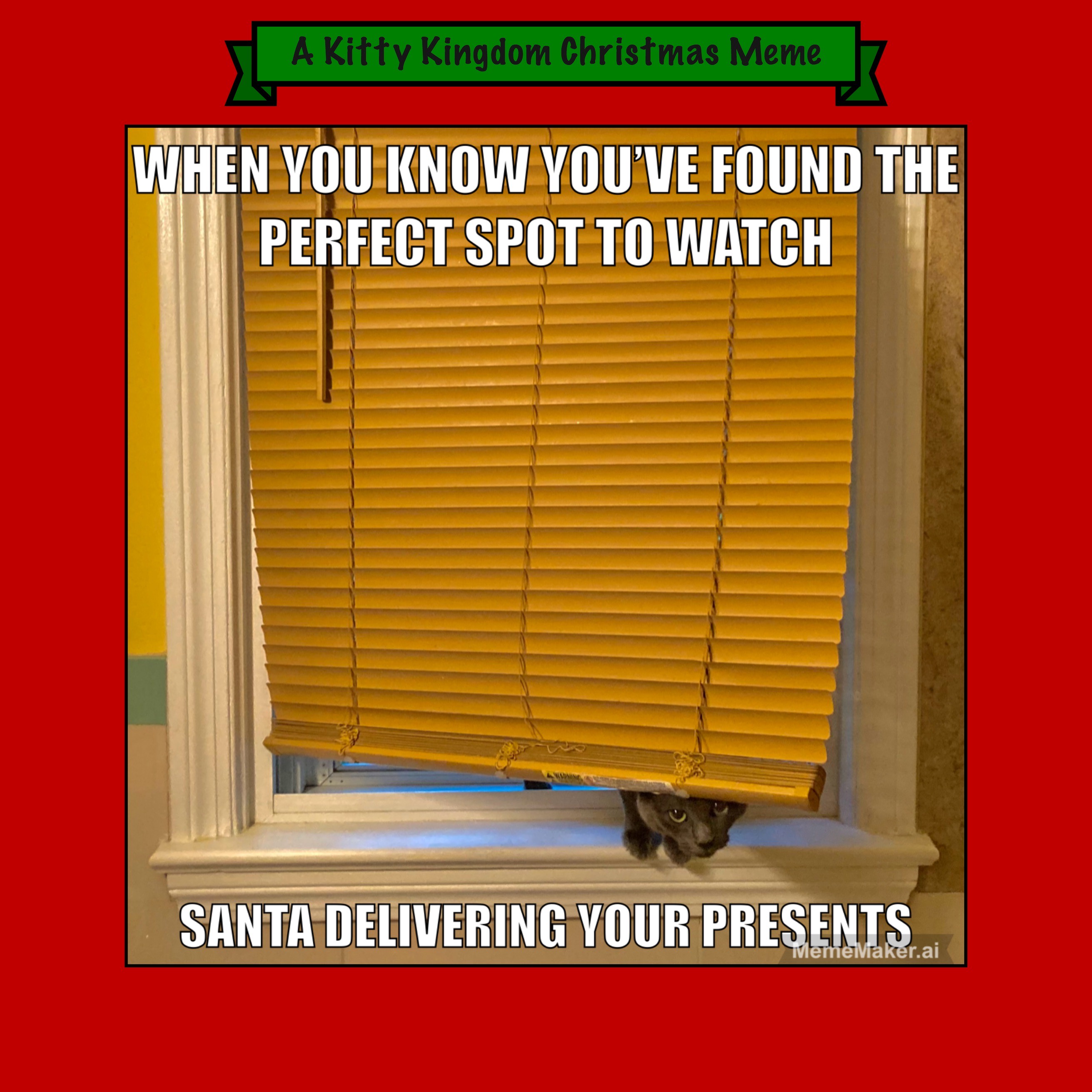 Countdown to Christmas in the Kitty Kingdom: Day 1