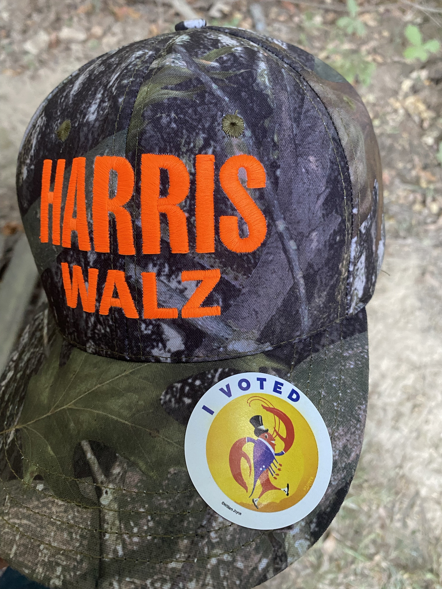 Celebrating Early Voting: My First Post from LA