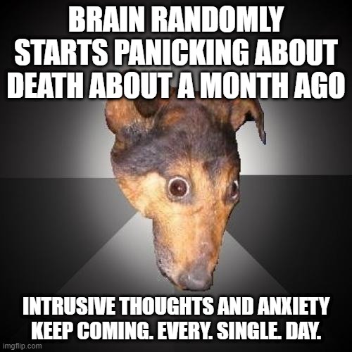 Sleepless Nights: The Struggle is Real