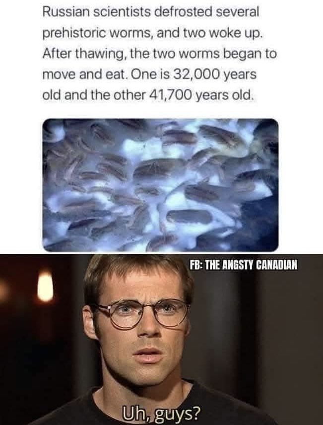 Can We Please Just Stop This Madness?