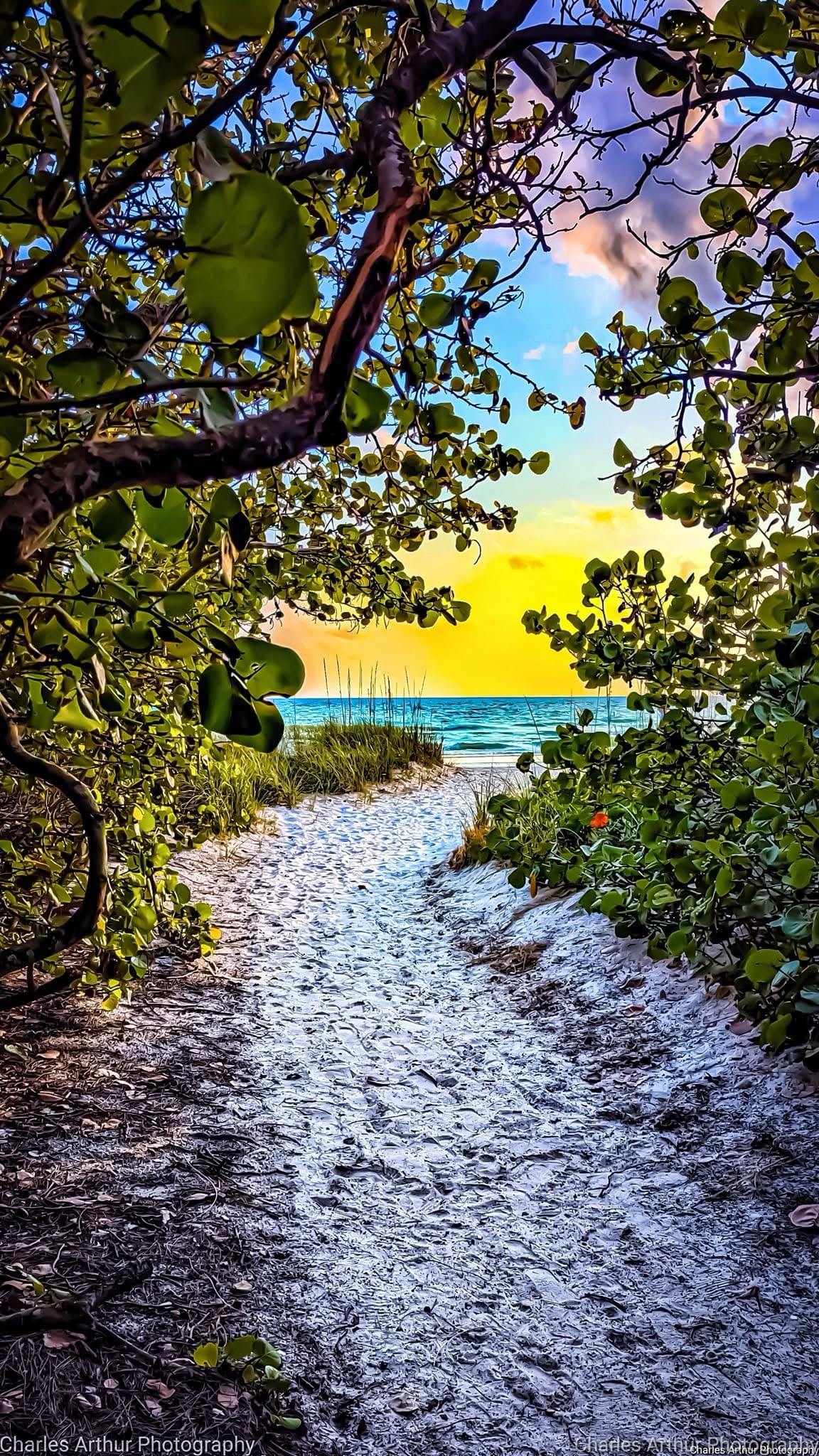 The Scenic Route to the Beach Awaits