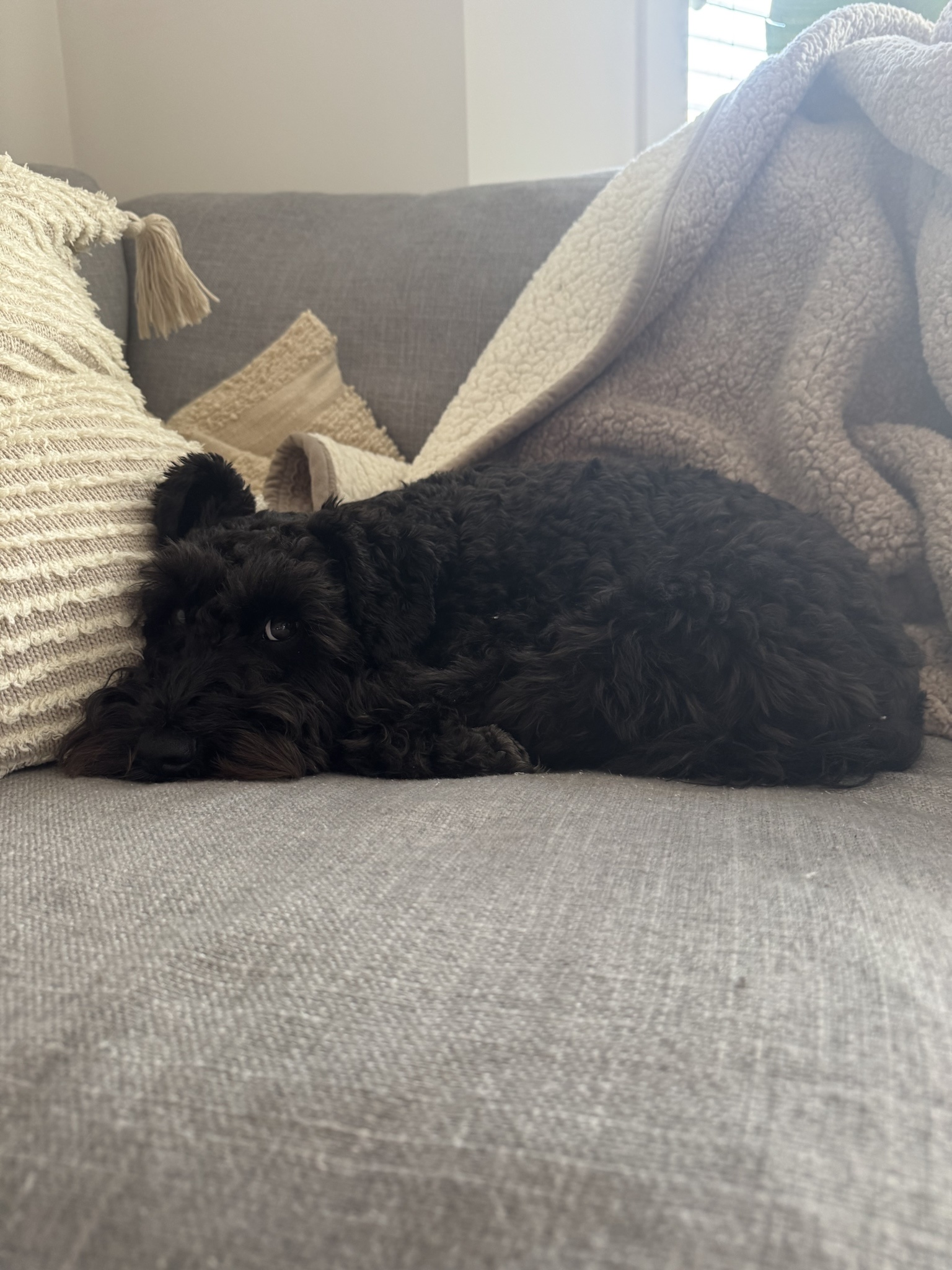 Your Daily Dose of Olive