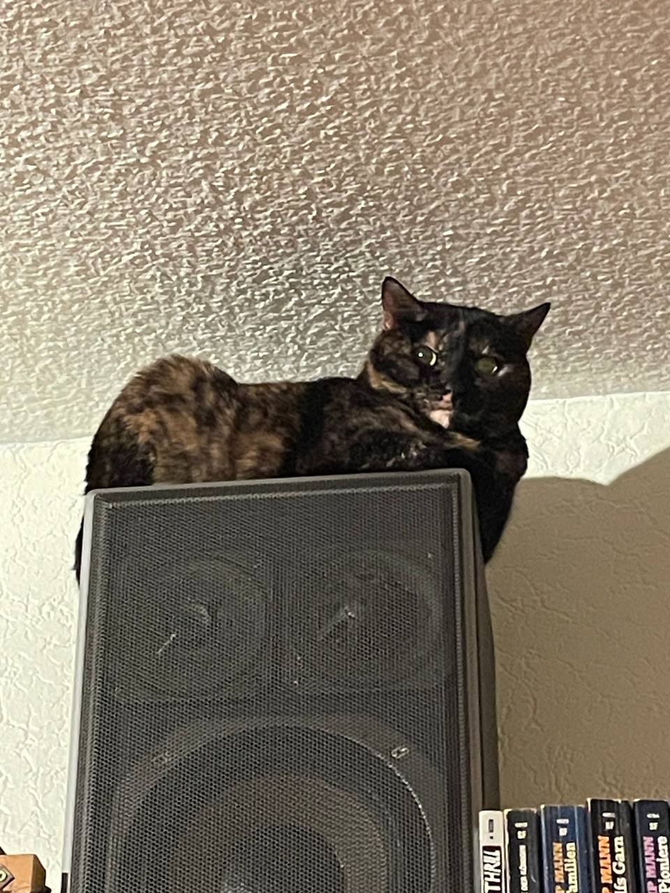 Supporting Pinecone with Pictures of Pepper and Basil