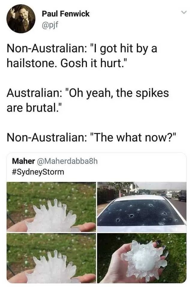 A Storm Like No Other: Australian Hail