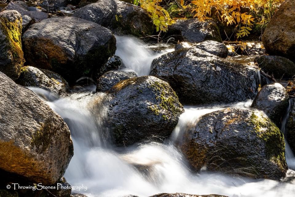 Another Beautiful Creek View