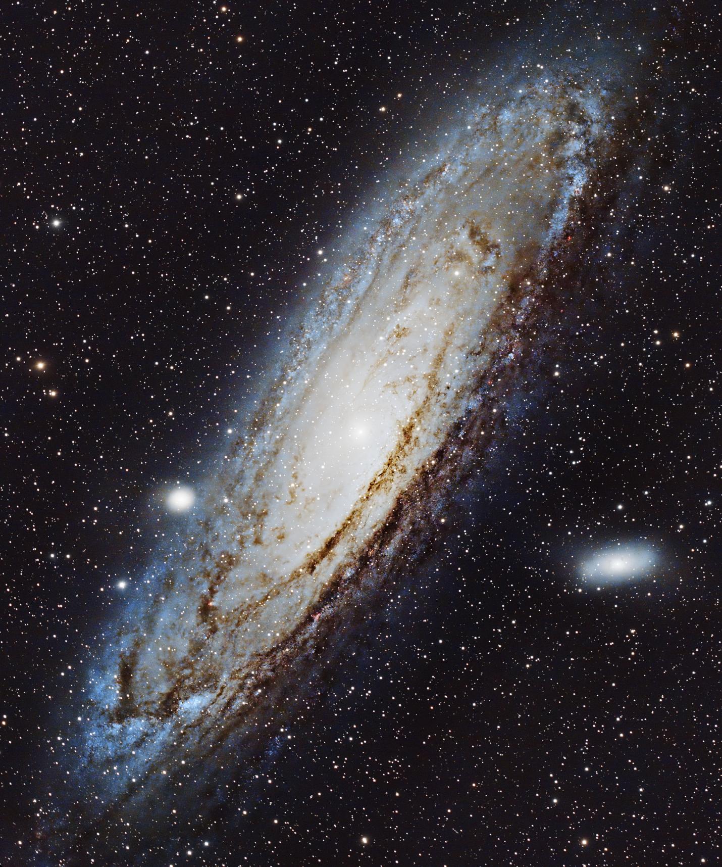 Stunning View of Andromeda Captured from My Backyard with an 11" Telescope!