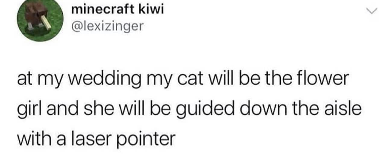 Great Idea! I Should Definitely Give It a Try!
