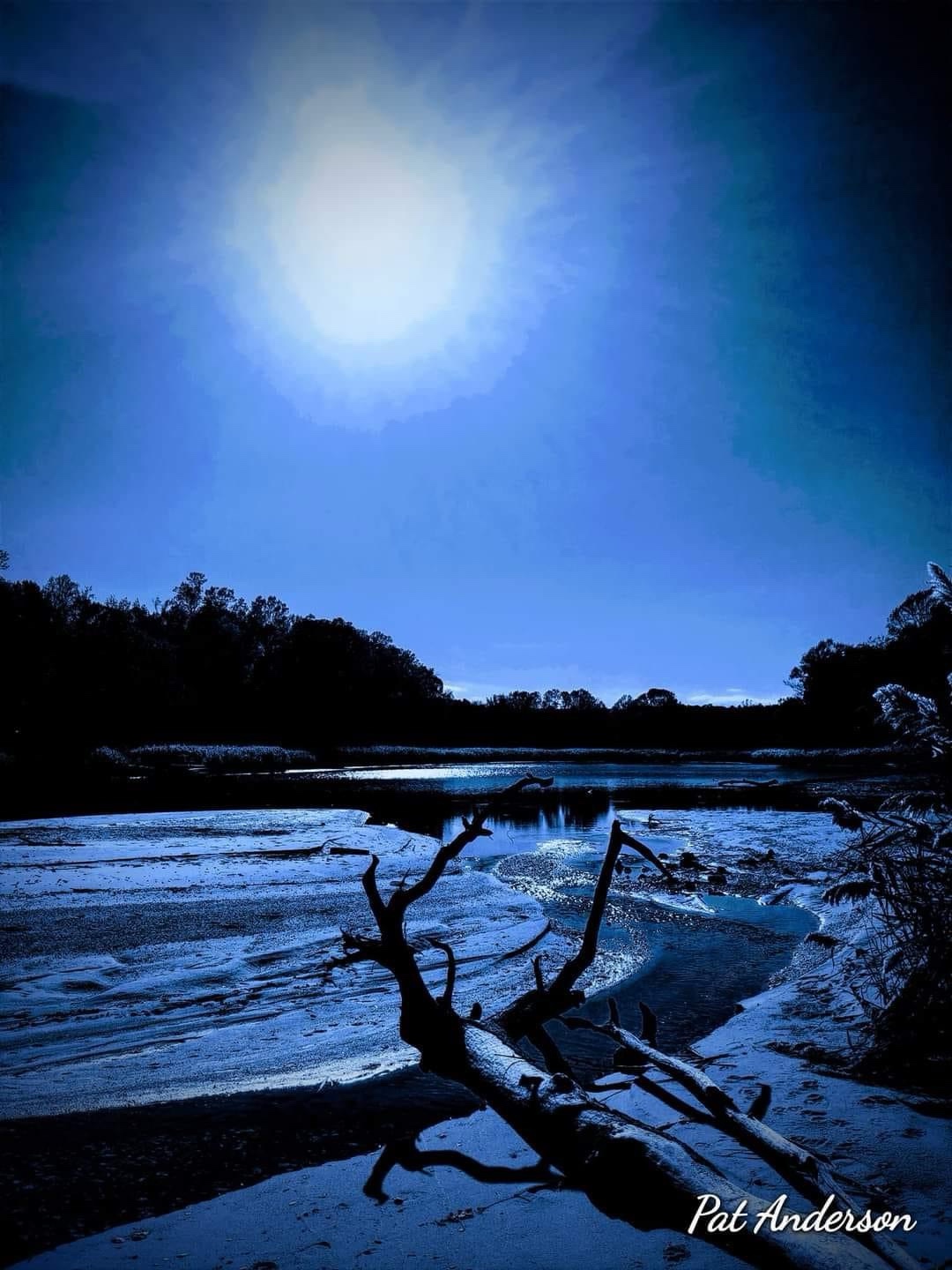 A Serene Evening Vibe