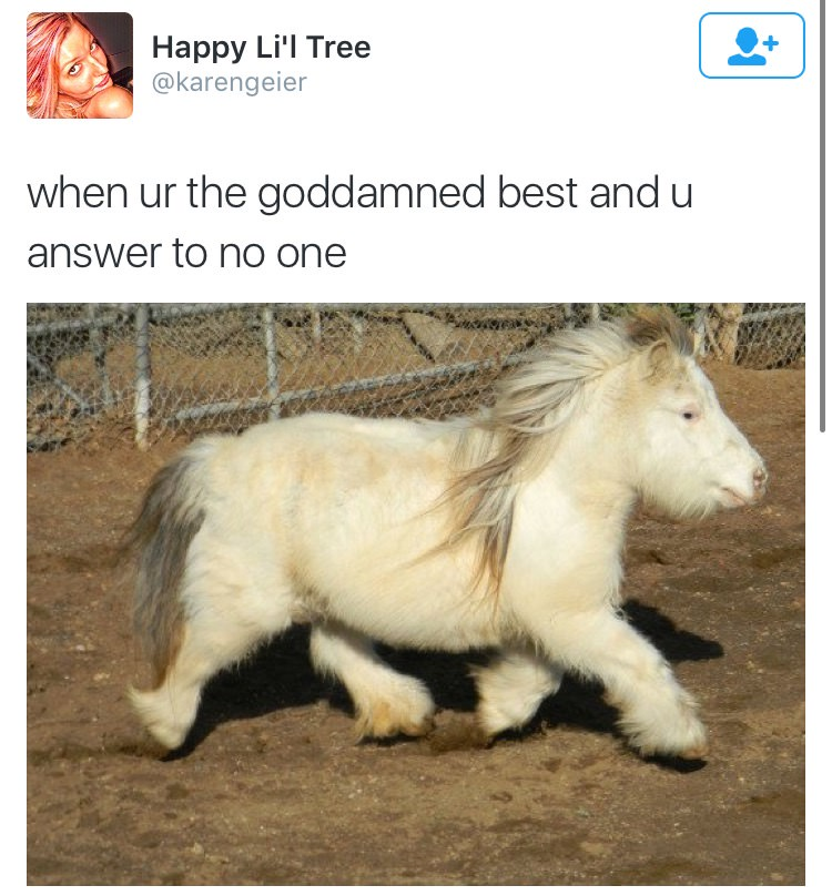 Just a Pony: A Simple Joy