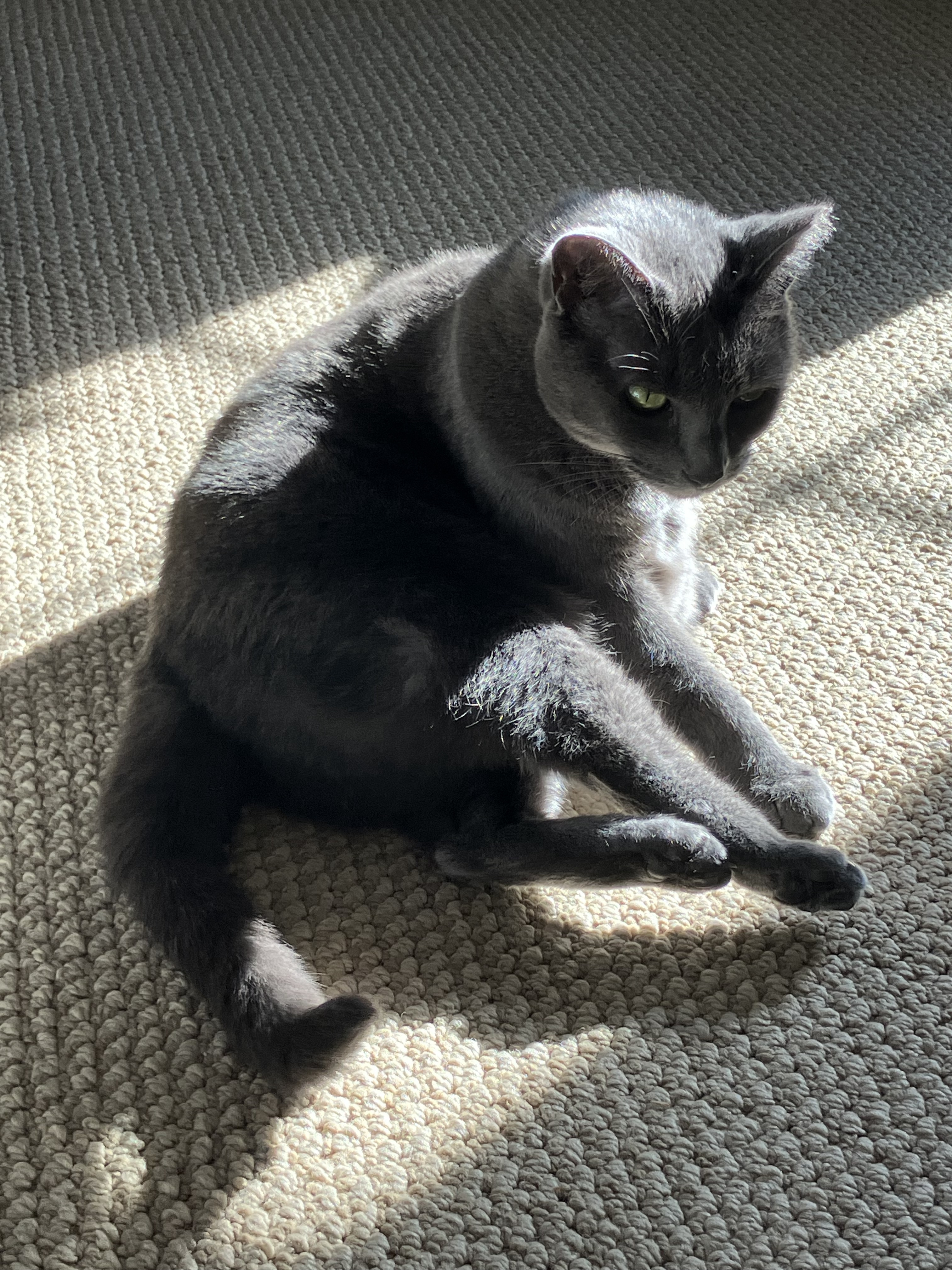 Daily Snick Pic #88: A Snapshot of Joy