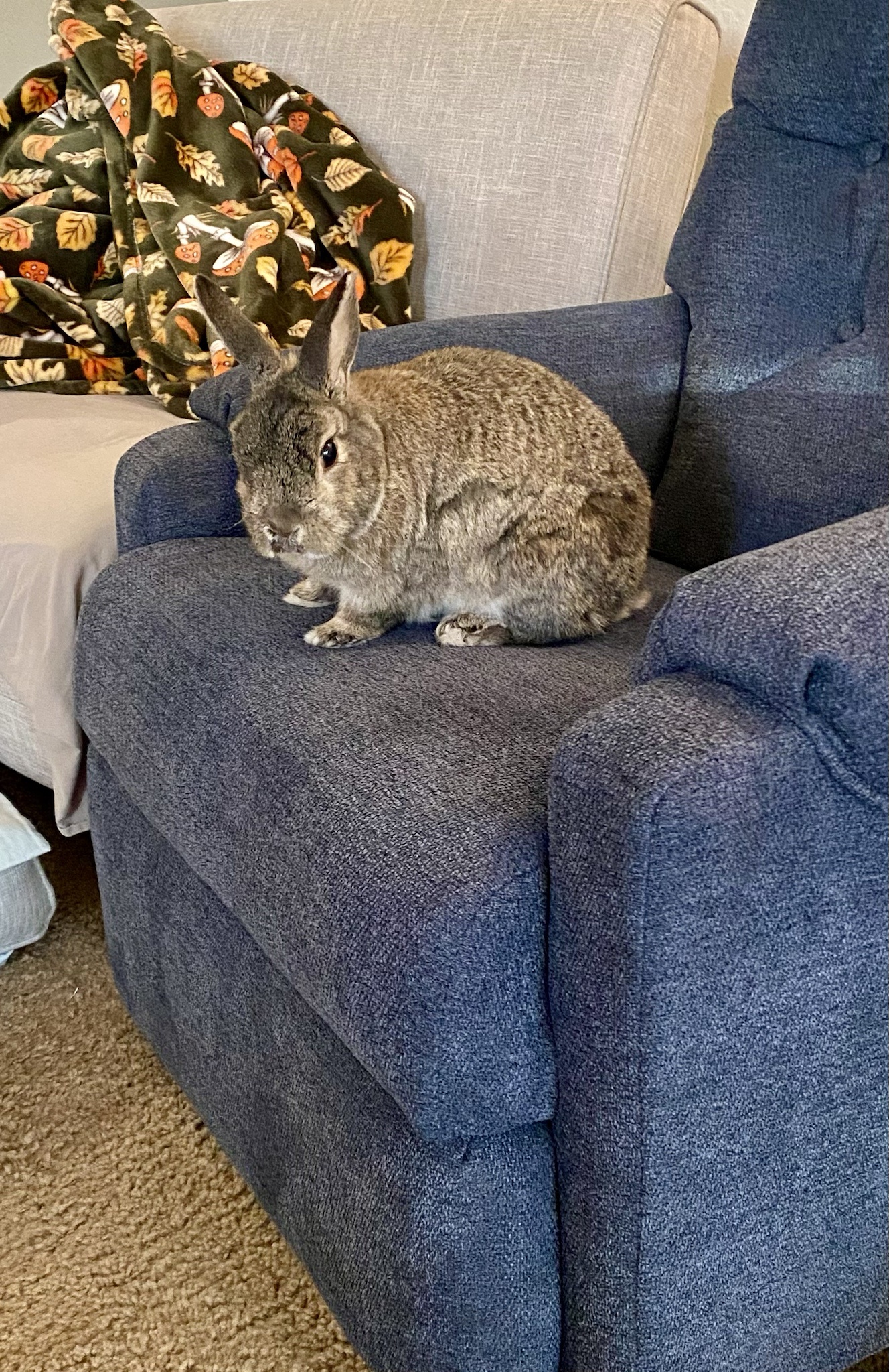 This Seat is Off Limits: Move Along!