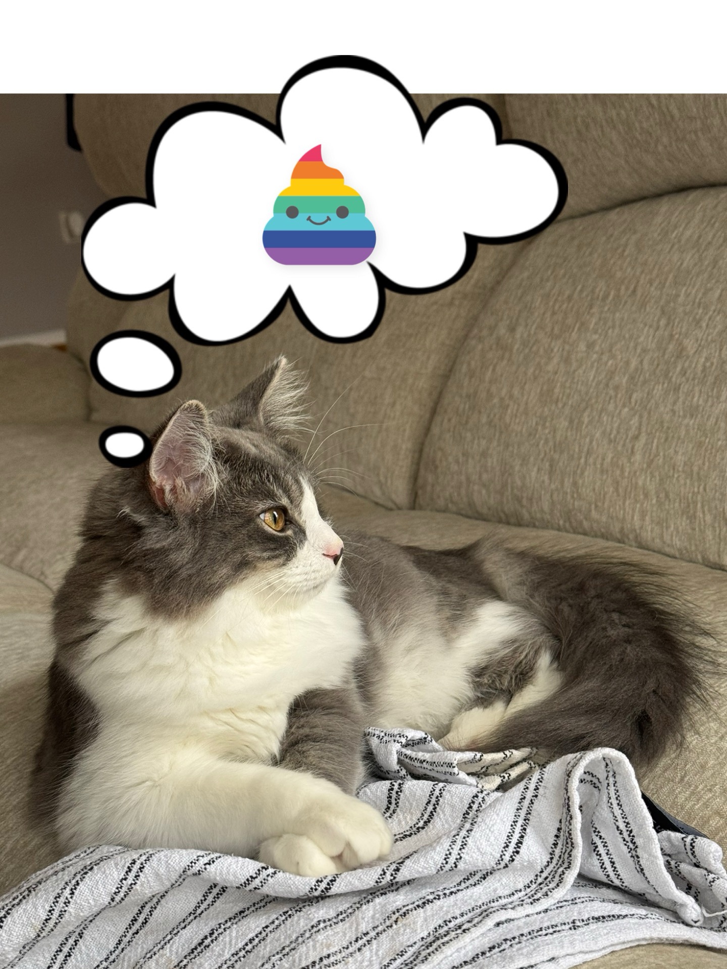 A Mind Blank: No Thoughts Here