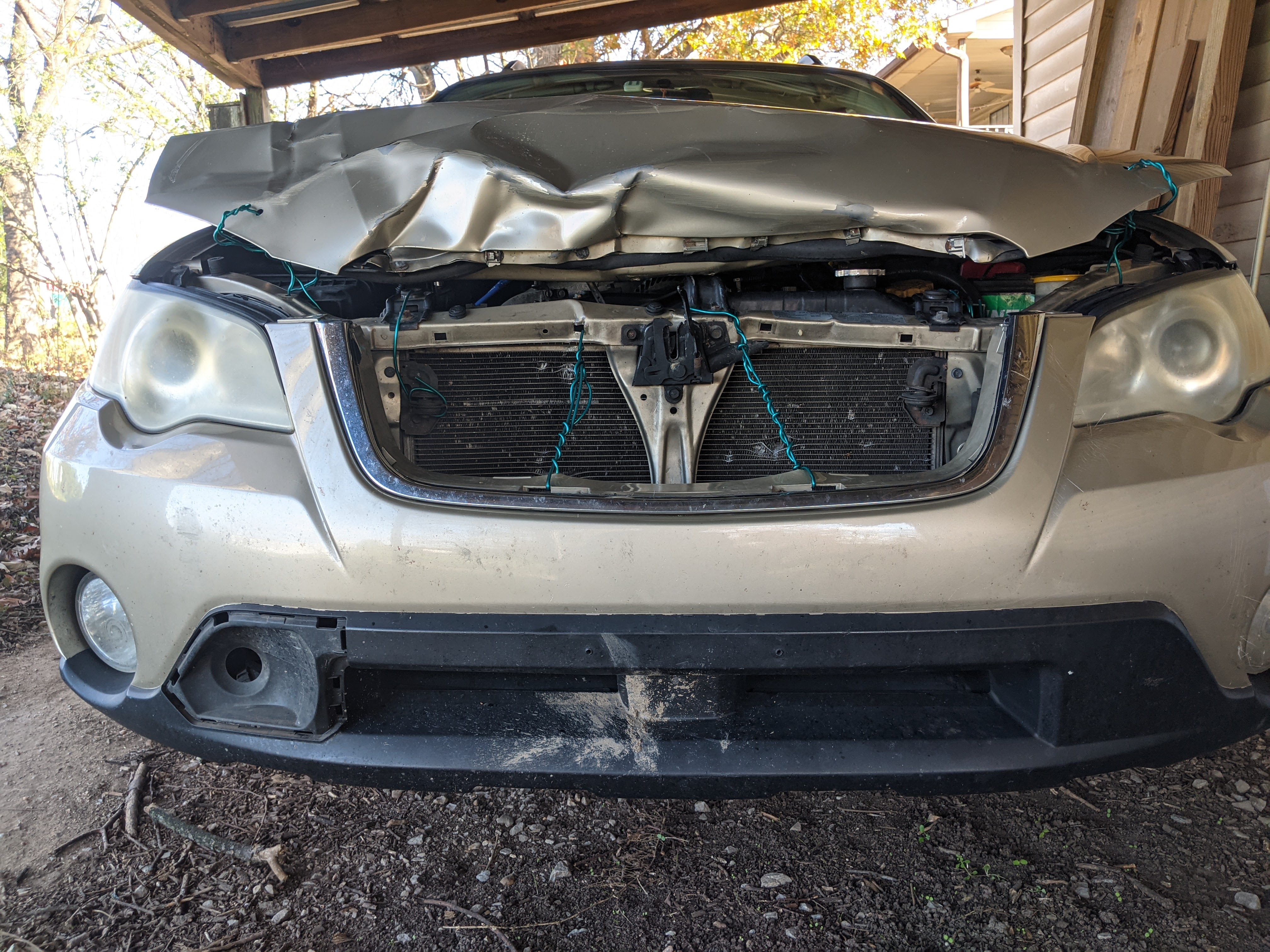 Unexpected Encounter: The Deer Crash