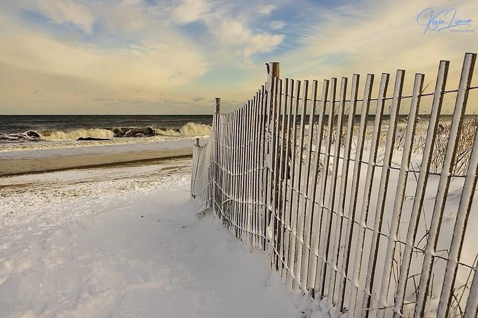 A serene day at the beach