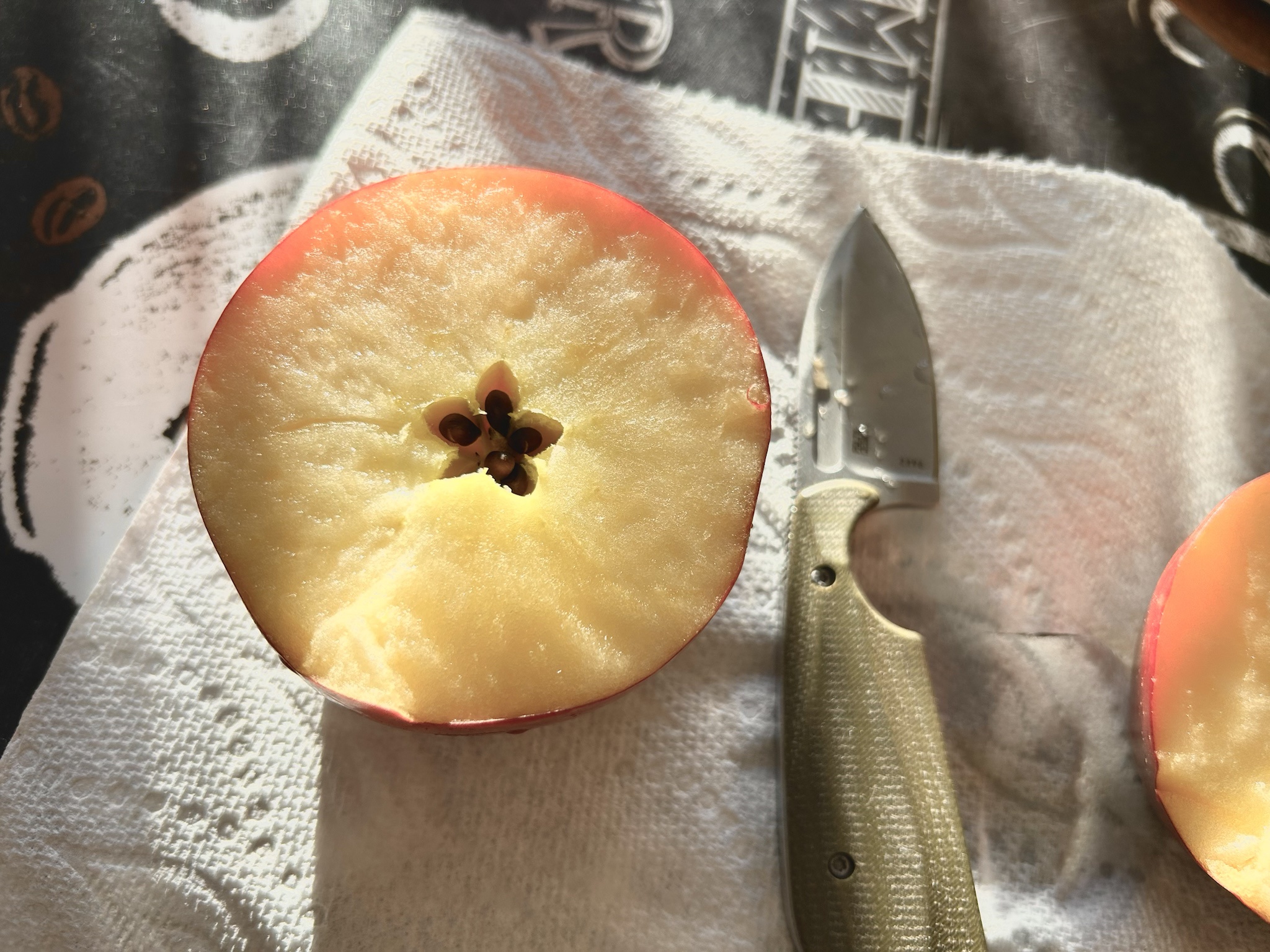 Isn't it Cool How Apples Have a Star-Shaped Core?