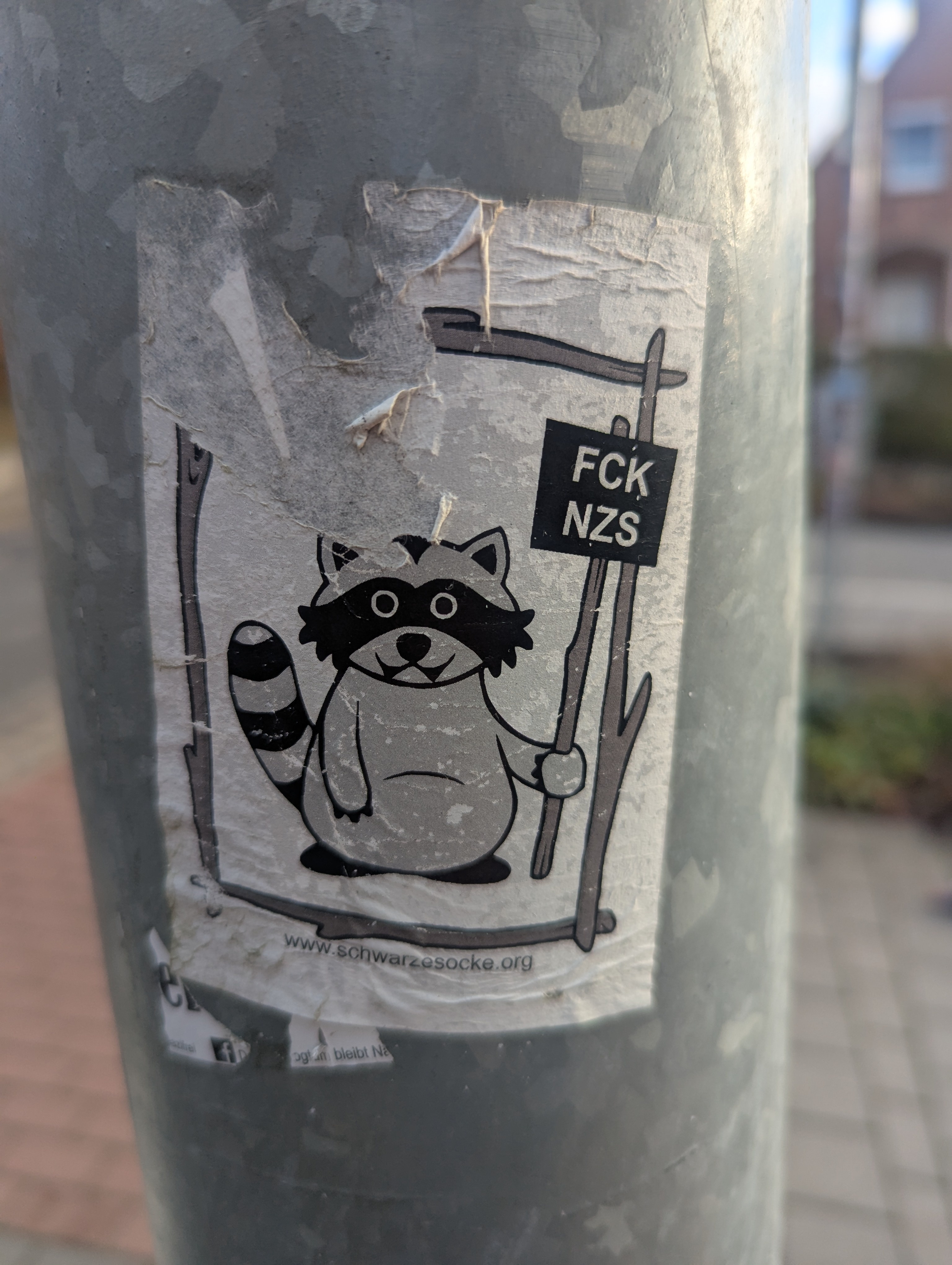 A Bold Statement: FCK NZS