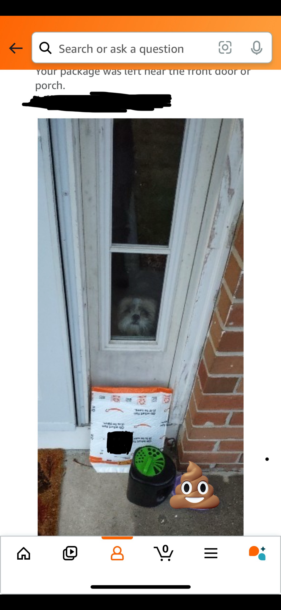 A Surprise from Your Amazon Delivery Person