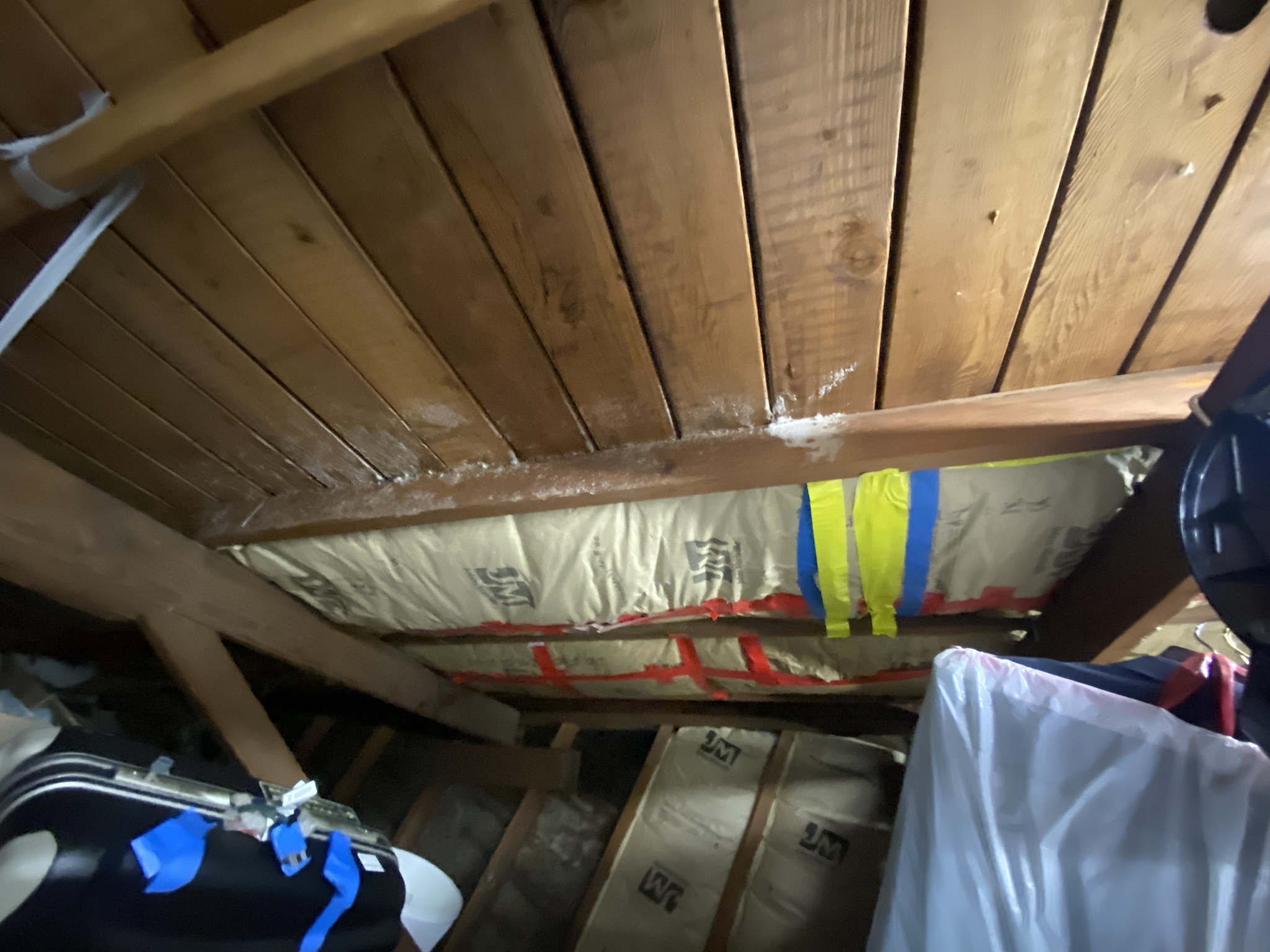 Is That Mold in the Attic Insulation?