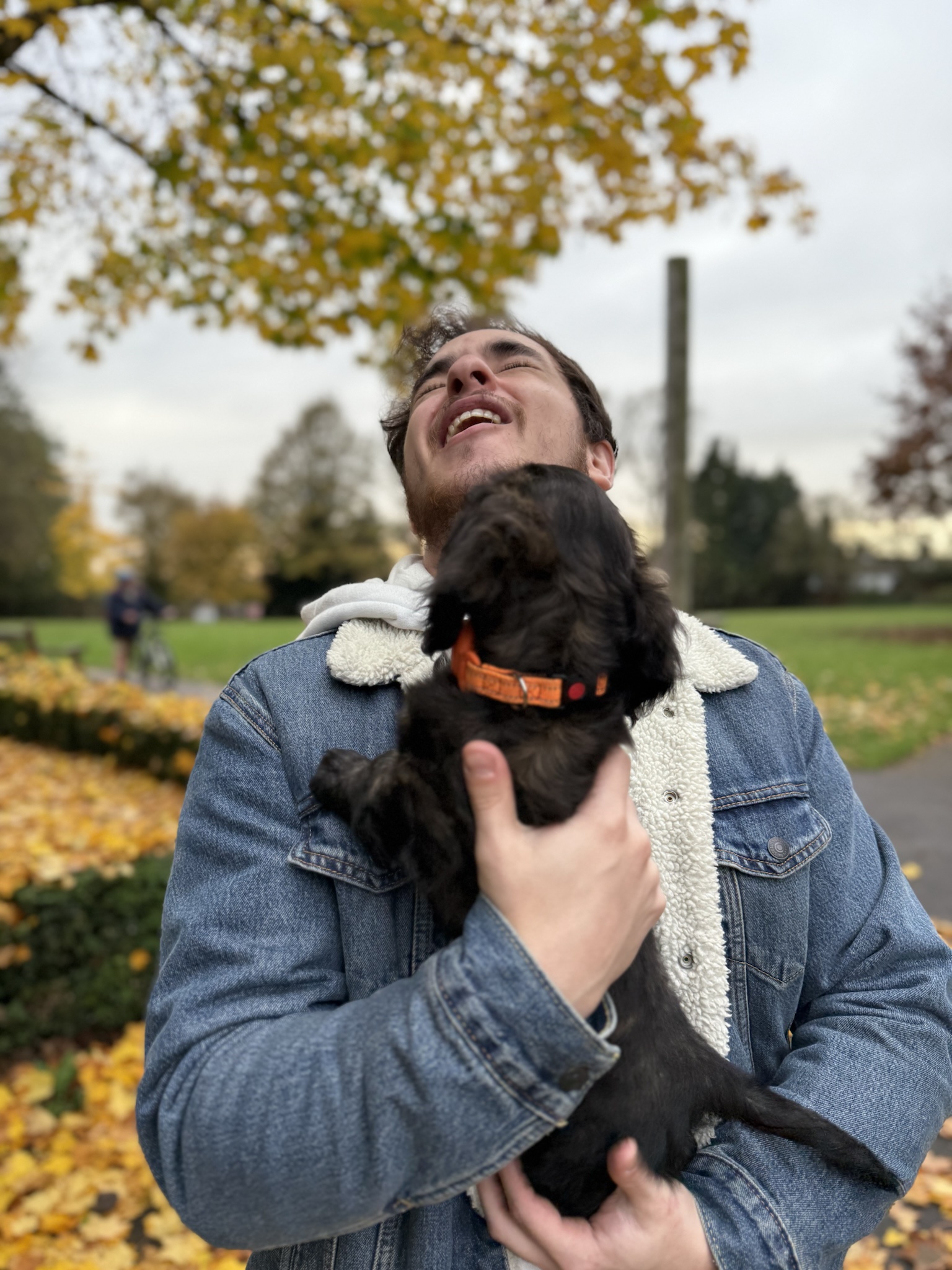 Epic Dog Attack Caught on Camera in Lincoln, UK