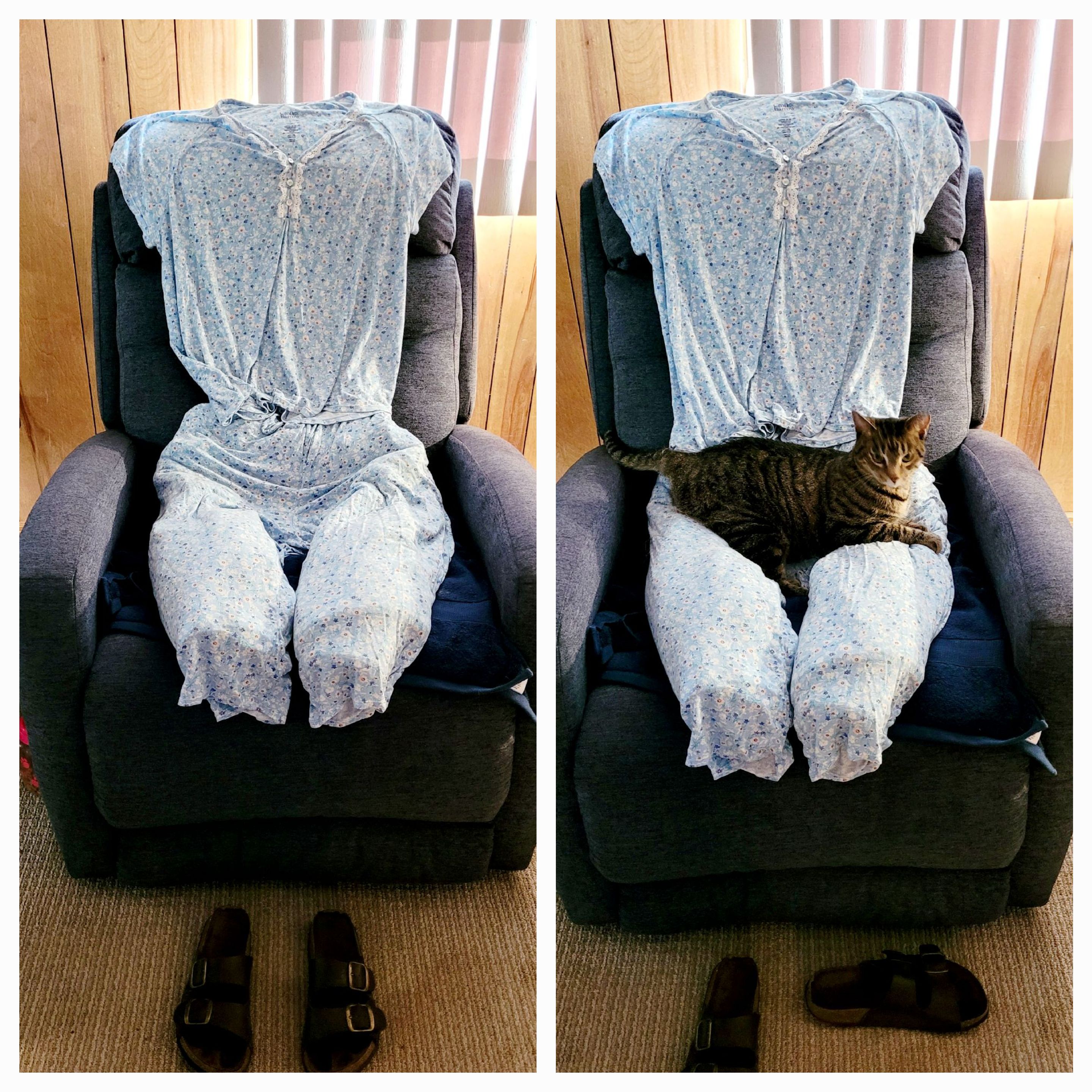 My Aunt's Hospital Worries About Her Clingy Cat - Tried This Solution!