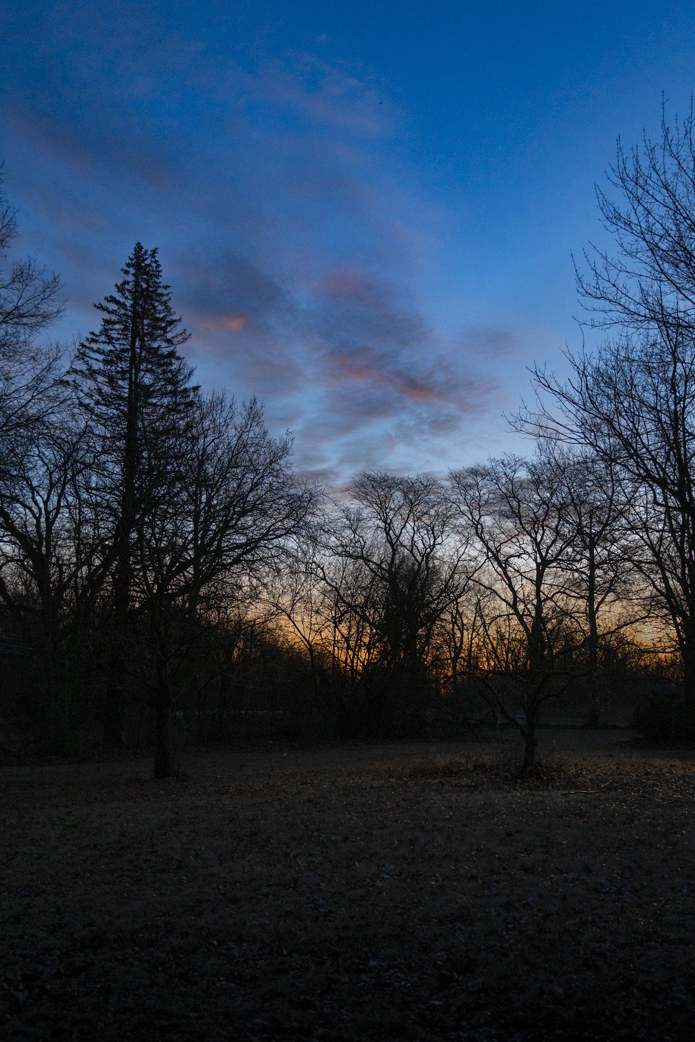 The Beauty of a Michigan Sunrise