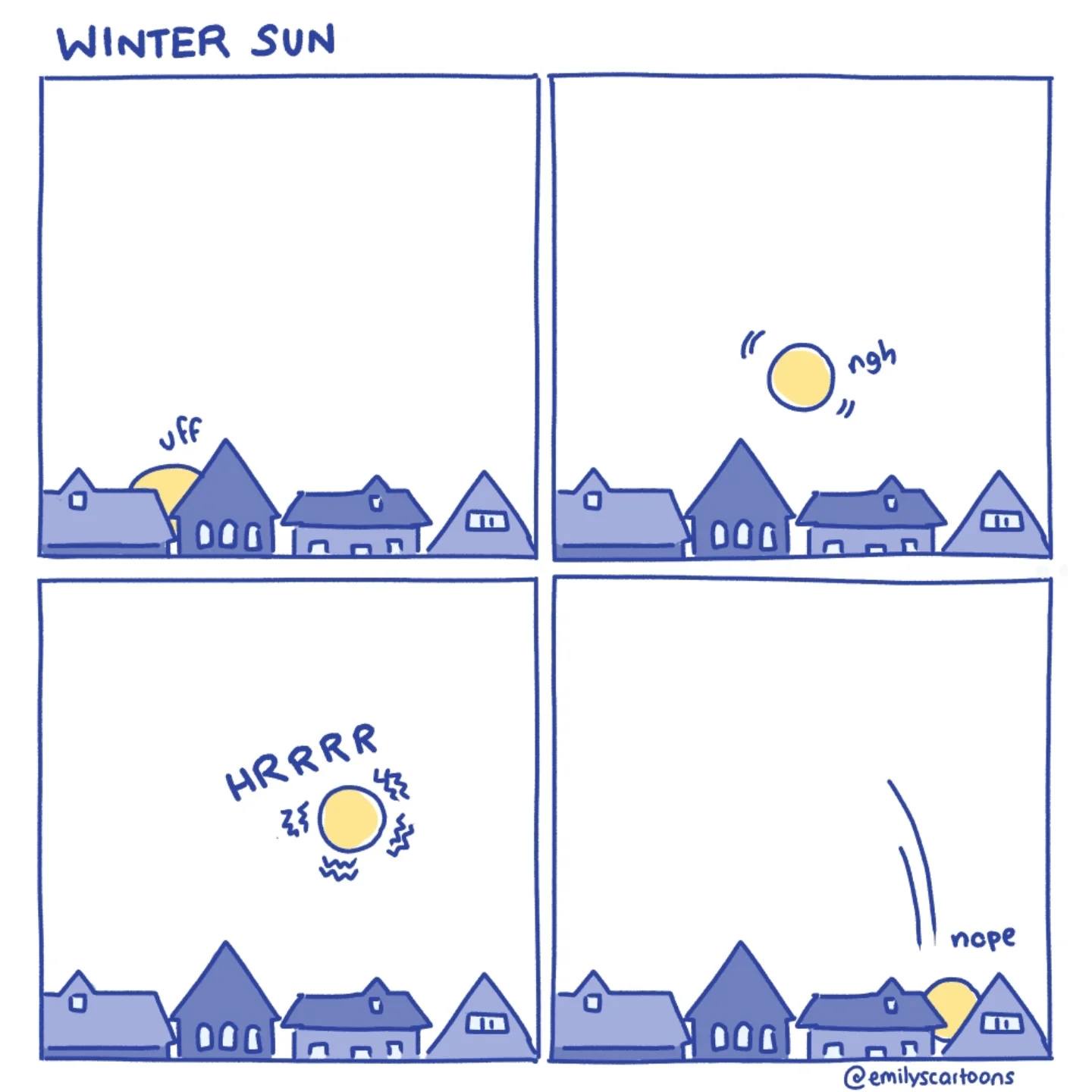 Celebrating the Solstice