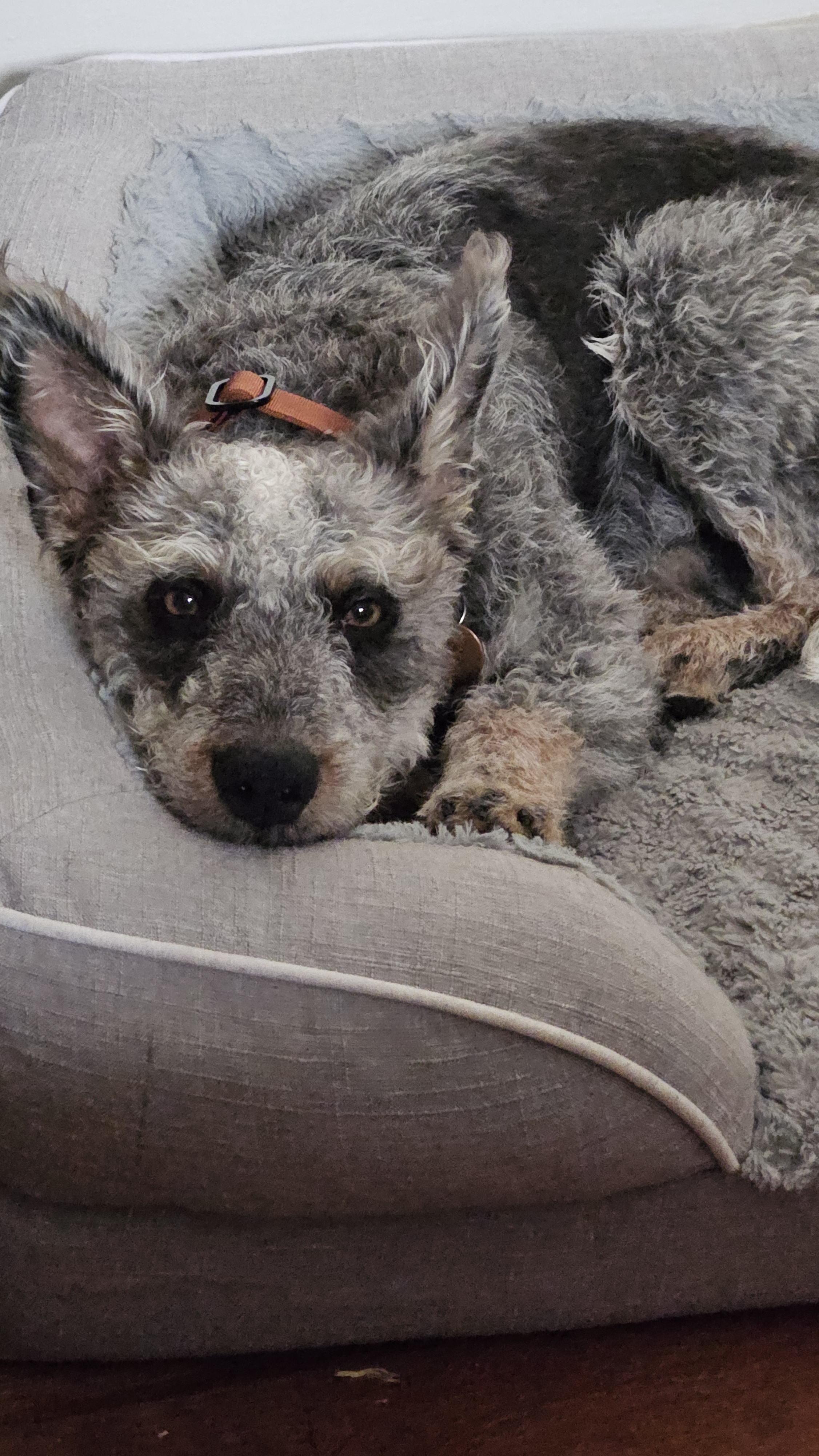 Gus urges you to stop the doomscrolling and start planning for a brighter future