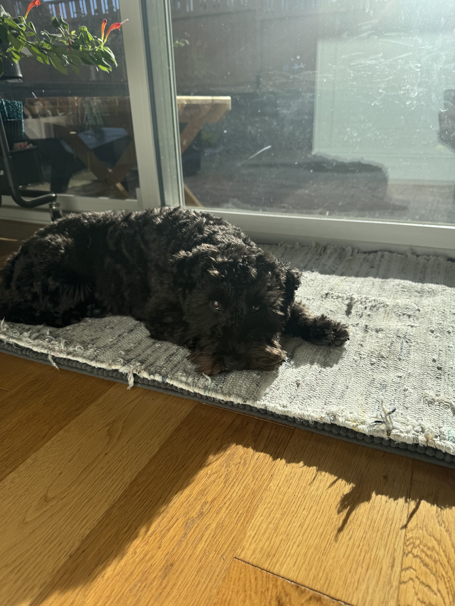 Your Daily Dose of Olive Inspiration