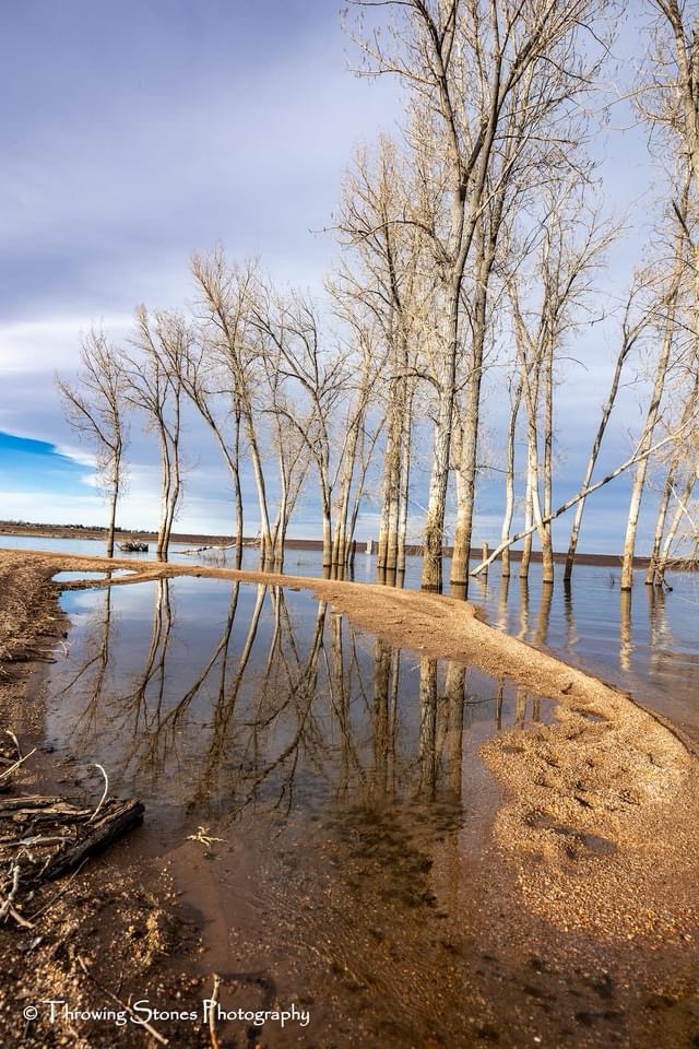 Yet Another Beautiful Reflection to Enjoy
