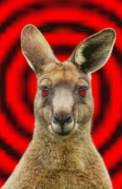 Introducing the delightful Hypno-Kangaroo