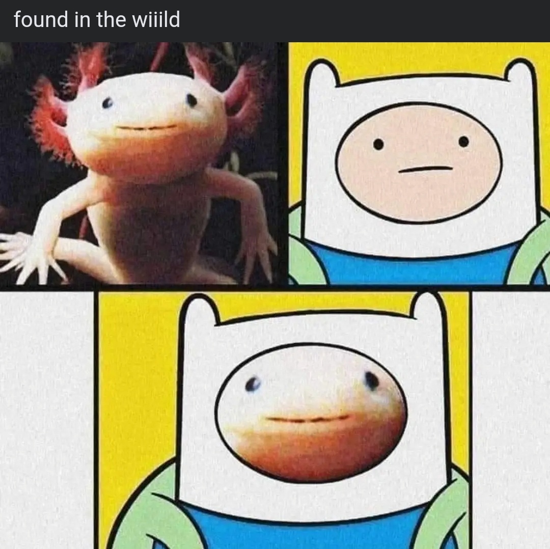 It's FREESh Memes Tuesday - Don't Miss Out!