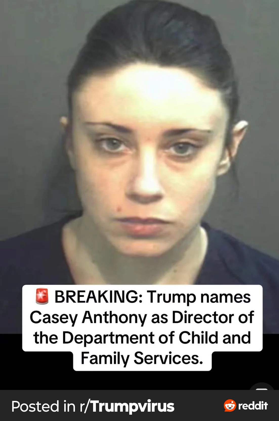 At this point, what even is happening?