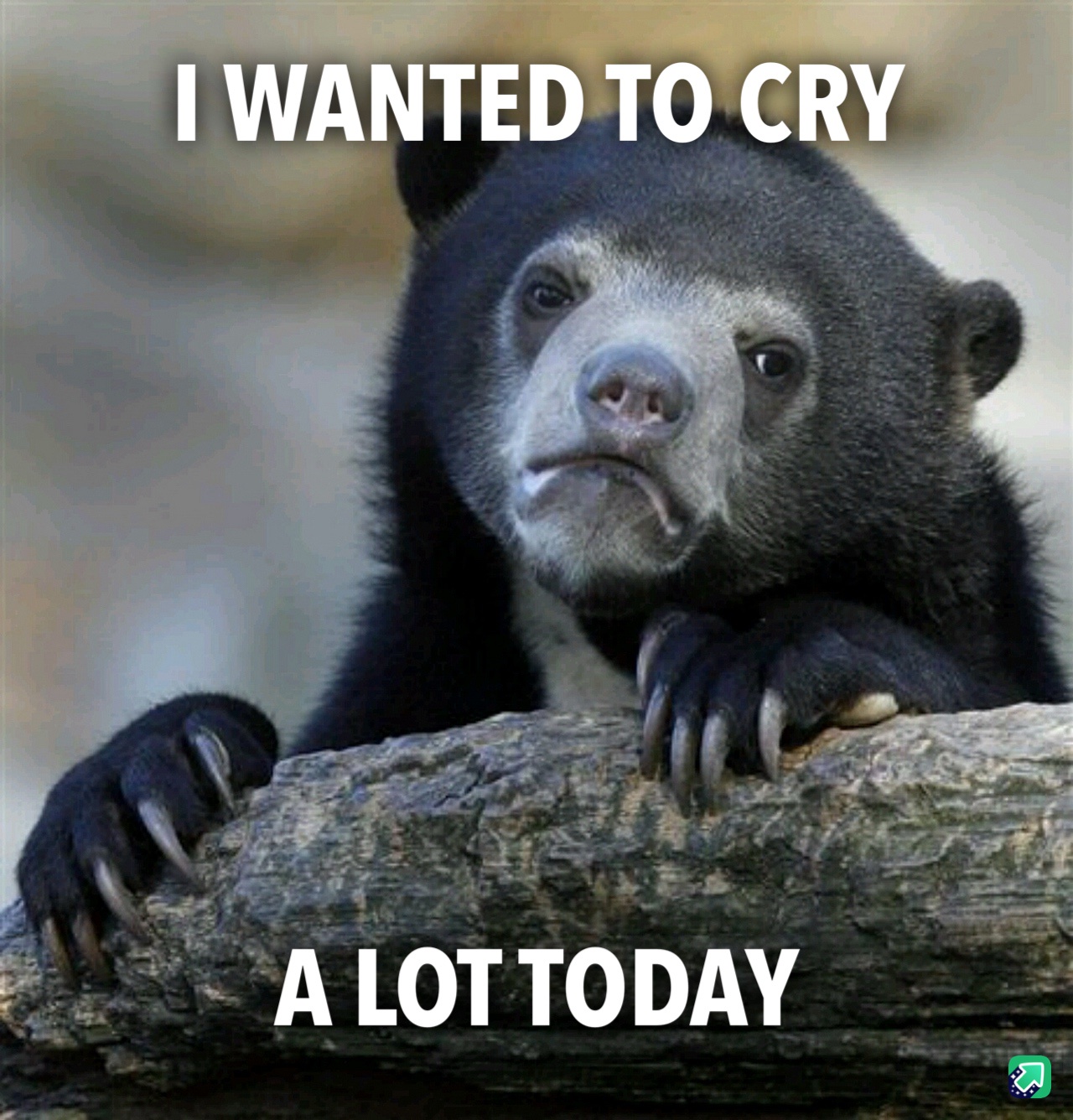 Just One of Those Rough Days