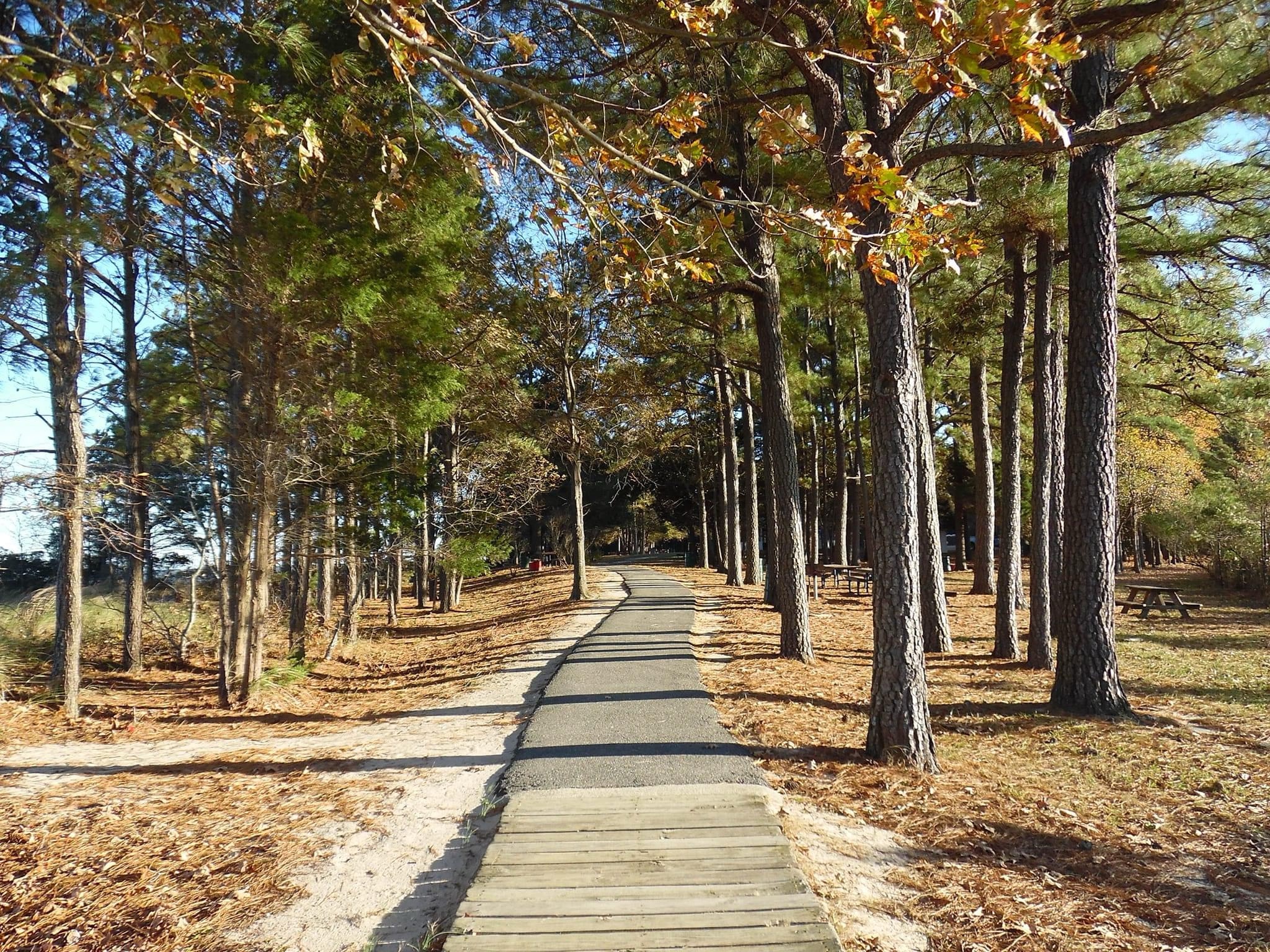 The Journey Begins: A Pathway to Discovery
