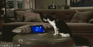 Retro Gif Collection: Dive into Part 10
