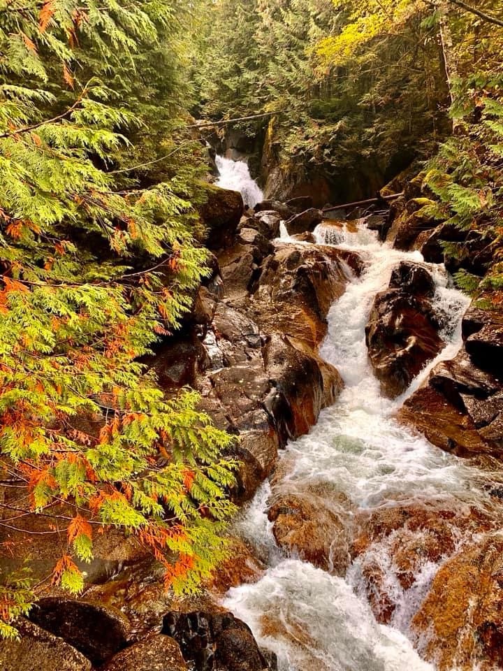 Majestic Waterfall in Nature's Embrace