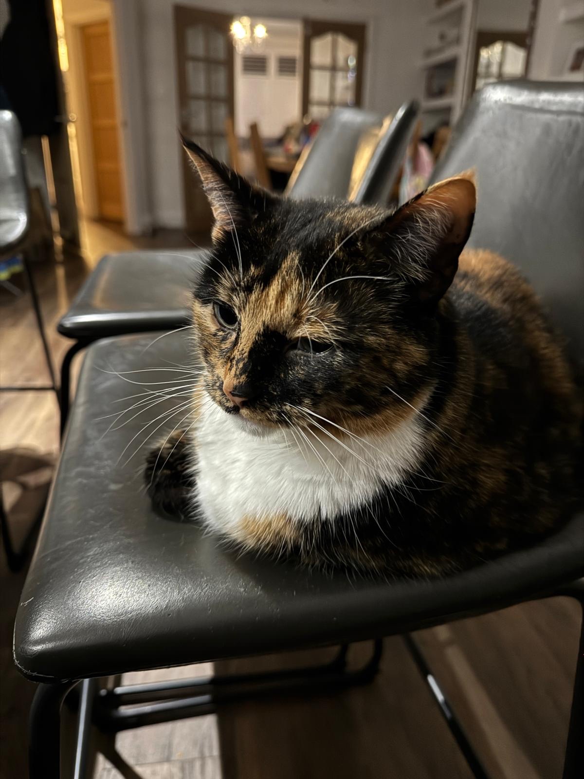 Crumble’s Daily Snapshot