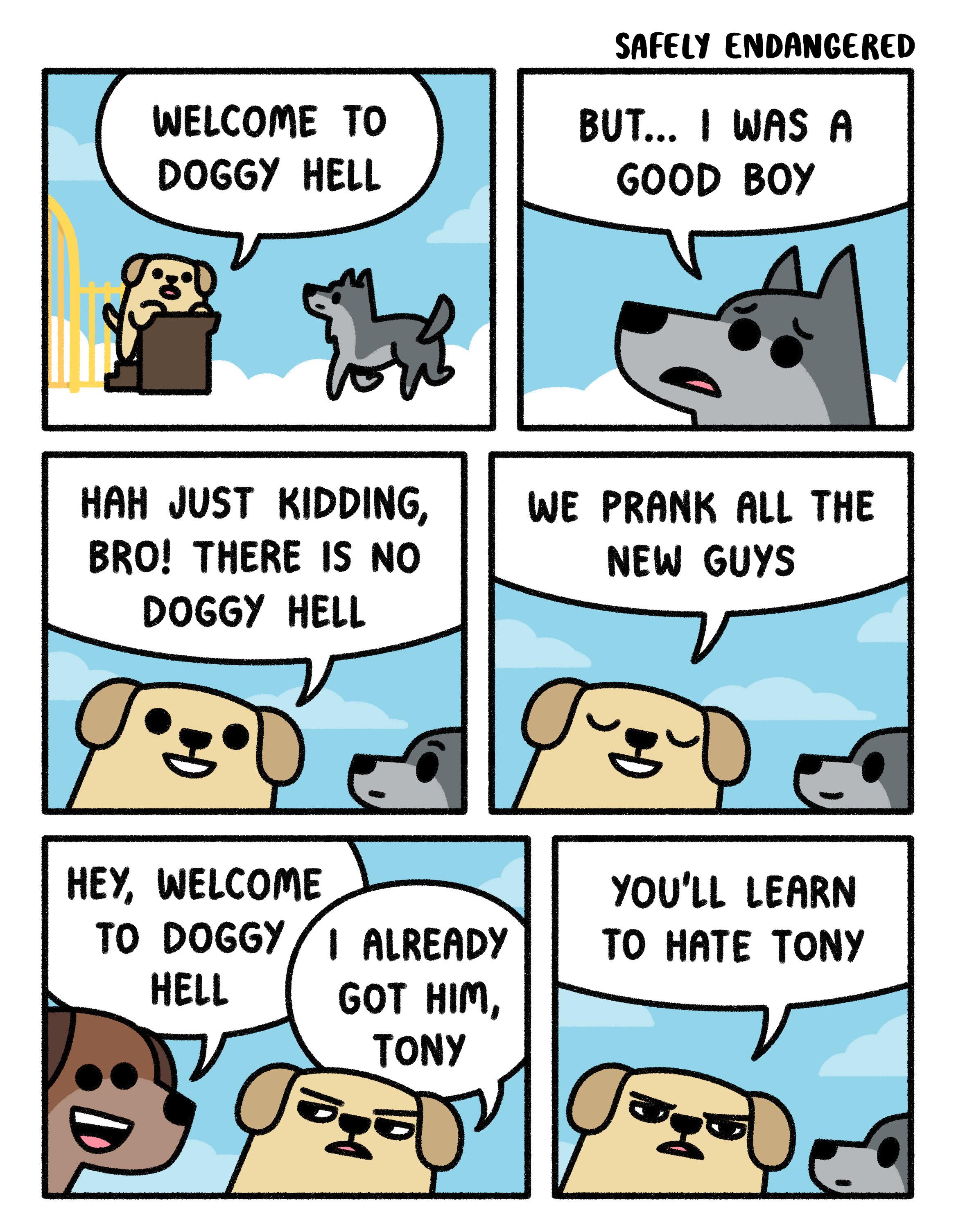 Welcome to Doggy Hell: A Hilarious Canine Adventure