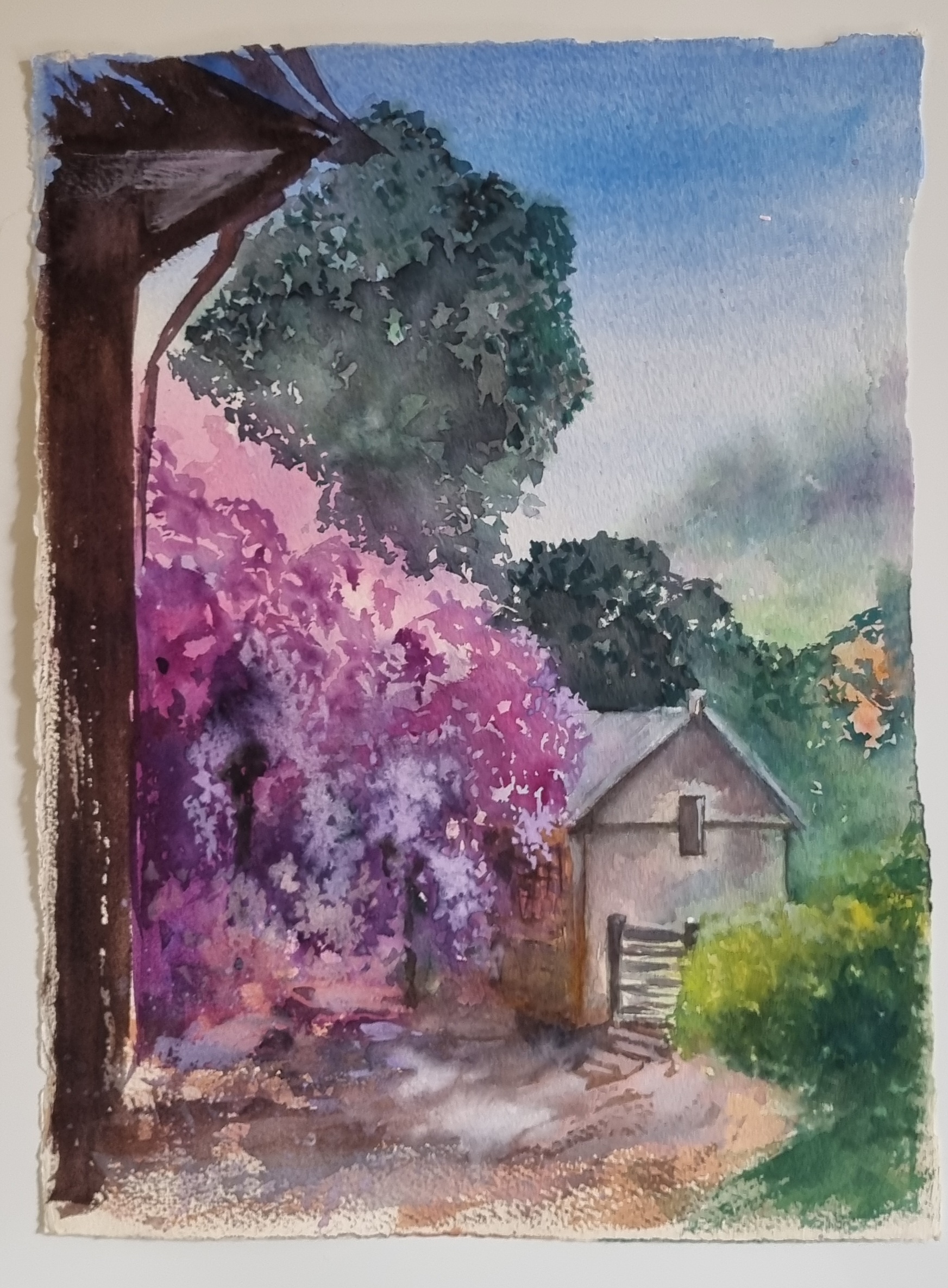 The Spring Frenzy of Wisteria Blooms
